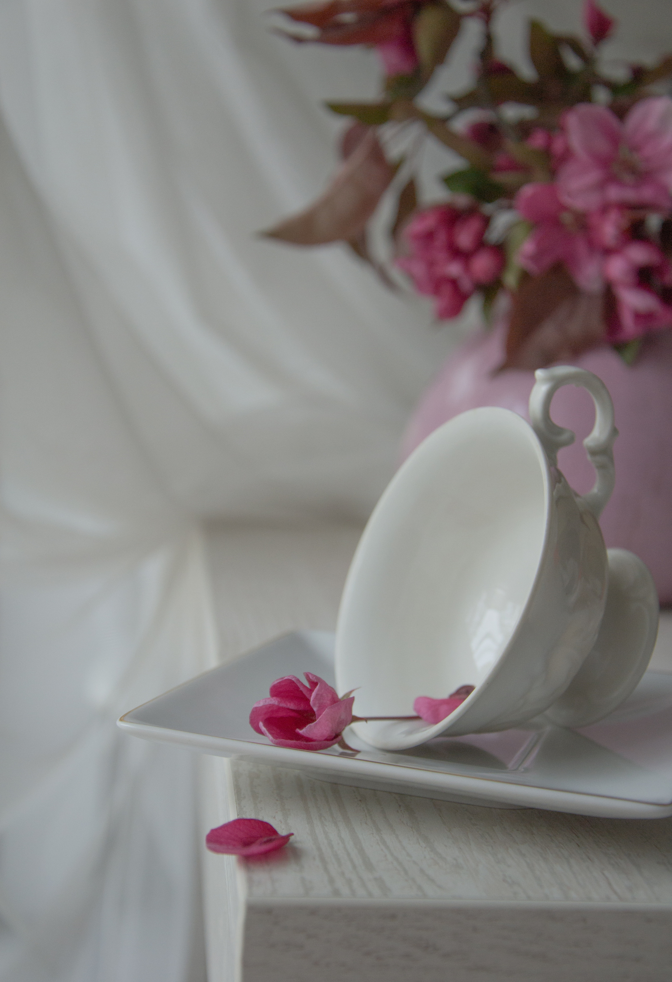 Still life. My name is Irina I am a family and portrait photographer