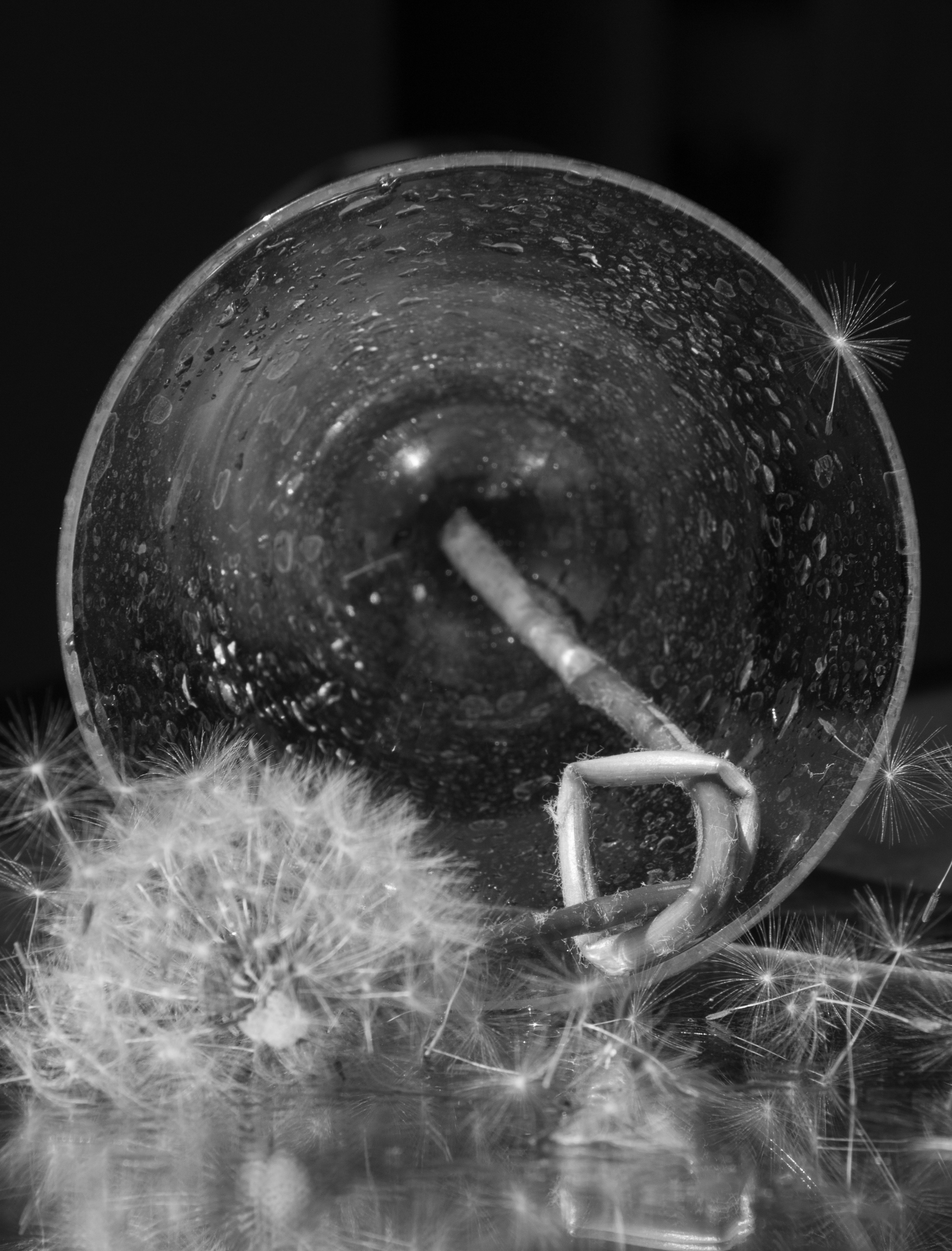 Still life. My name is Irina I am a family and portrait photographer