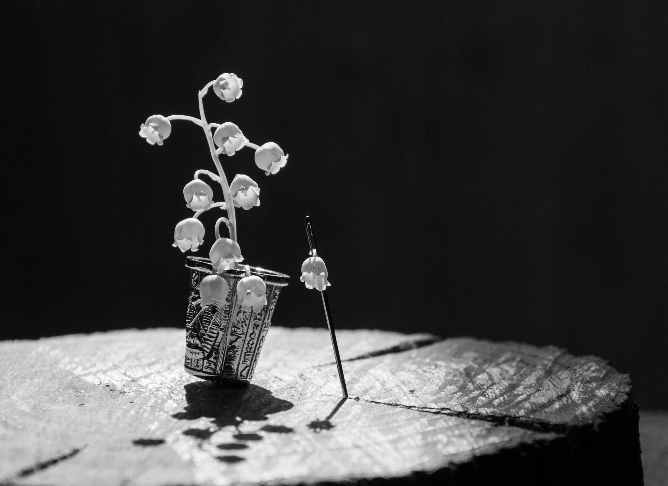 Still life. My name is Irina I am a family and portrait photographer