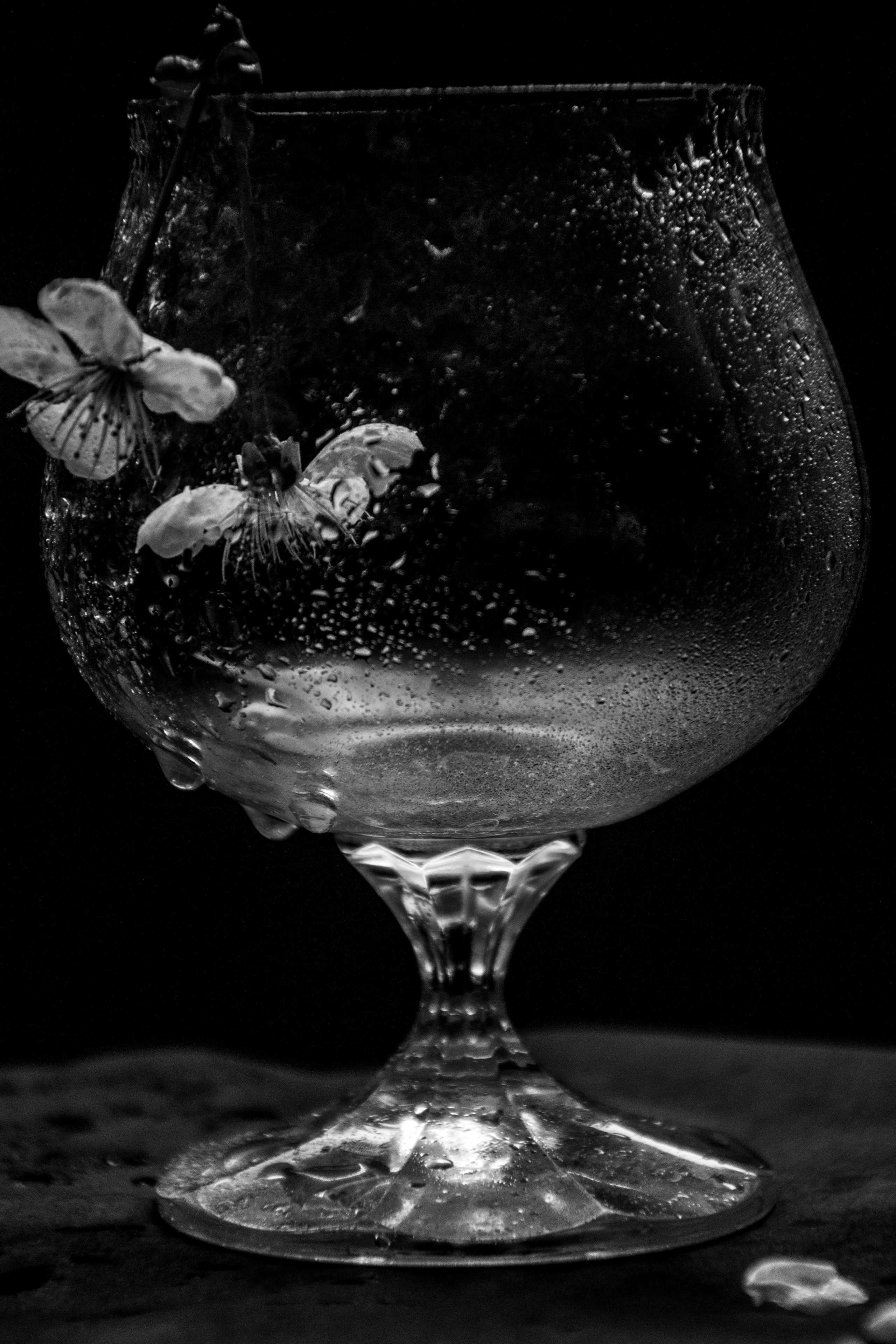 Still life. My name is Irina I am a family and portrait photographer