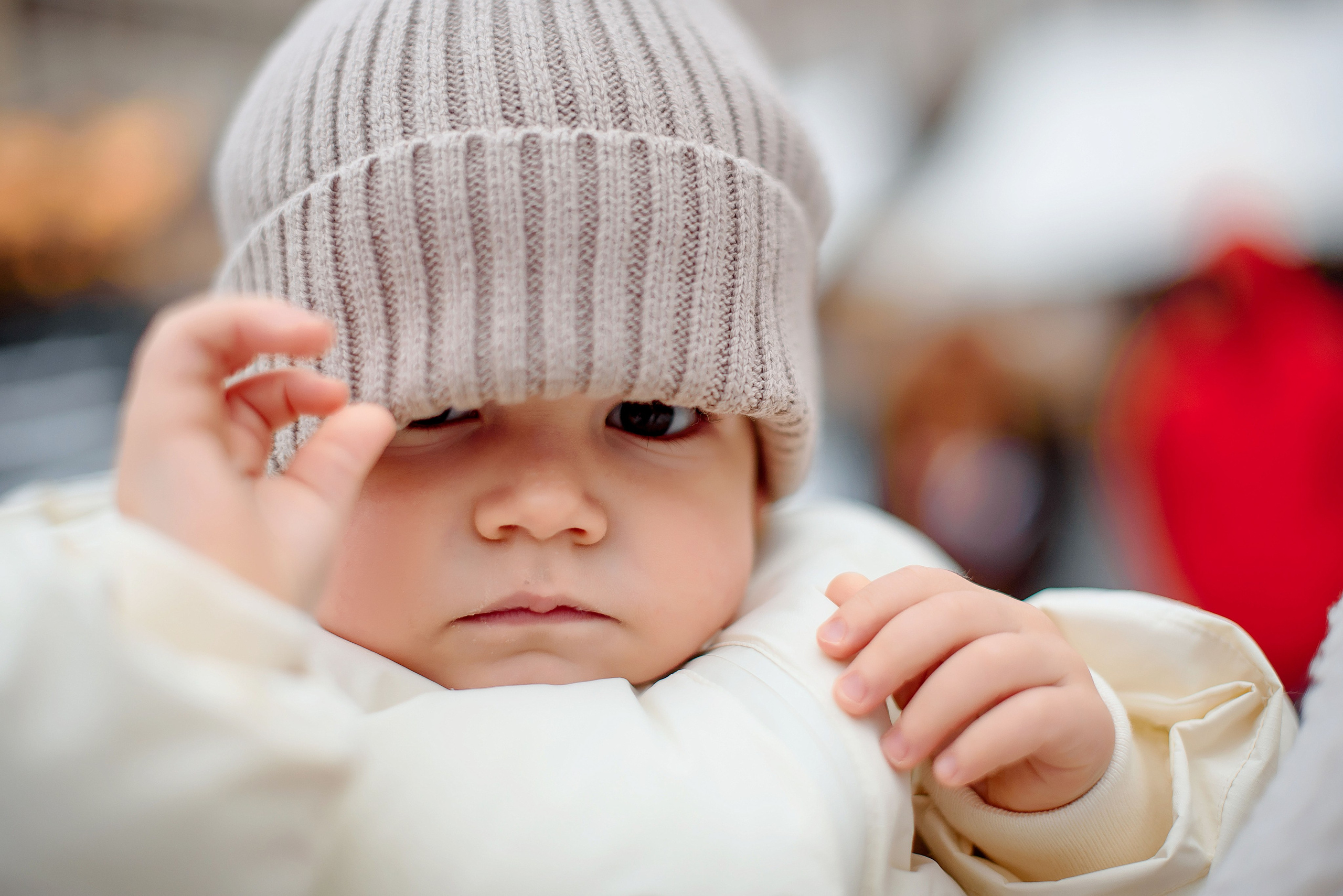 Christmas 2024. Wedding and family photographer