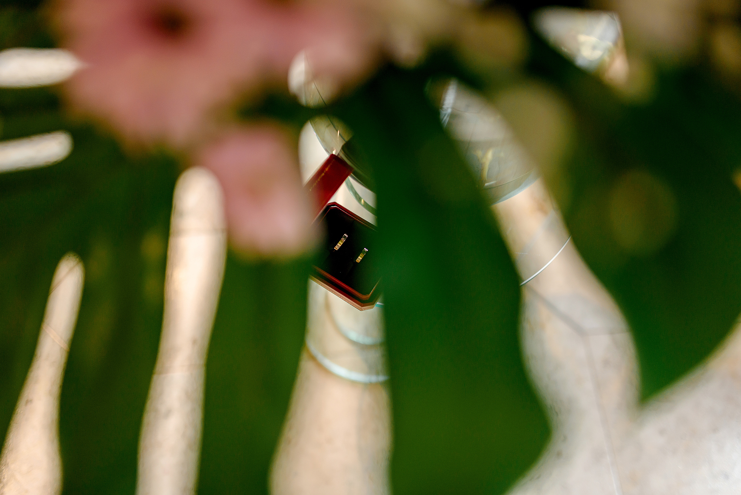 Valdštejnská zahrada. Wedding and family photographer