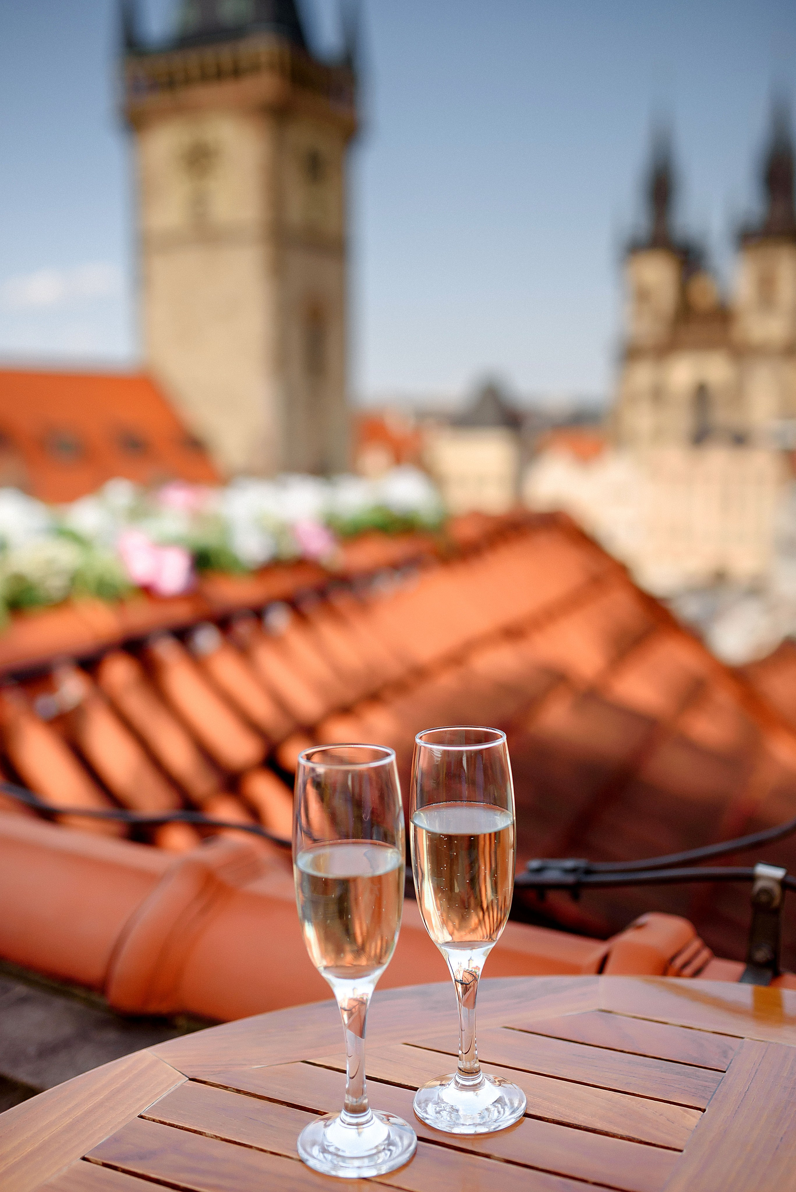 Alina. Wedding and family photographer