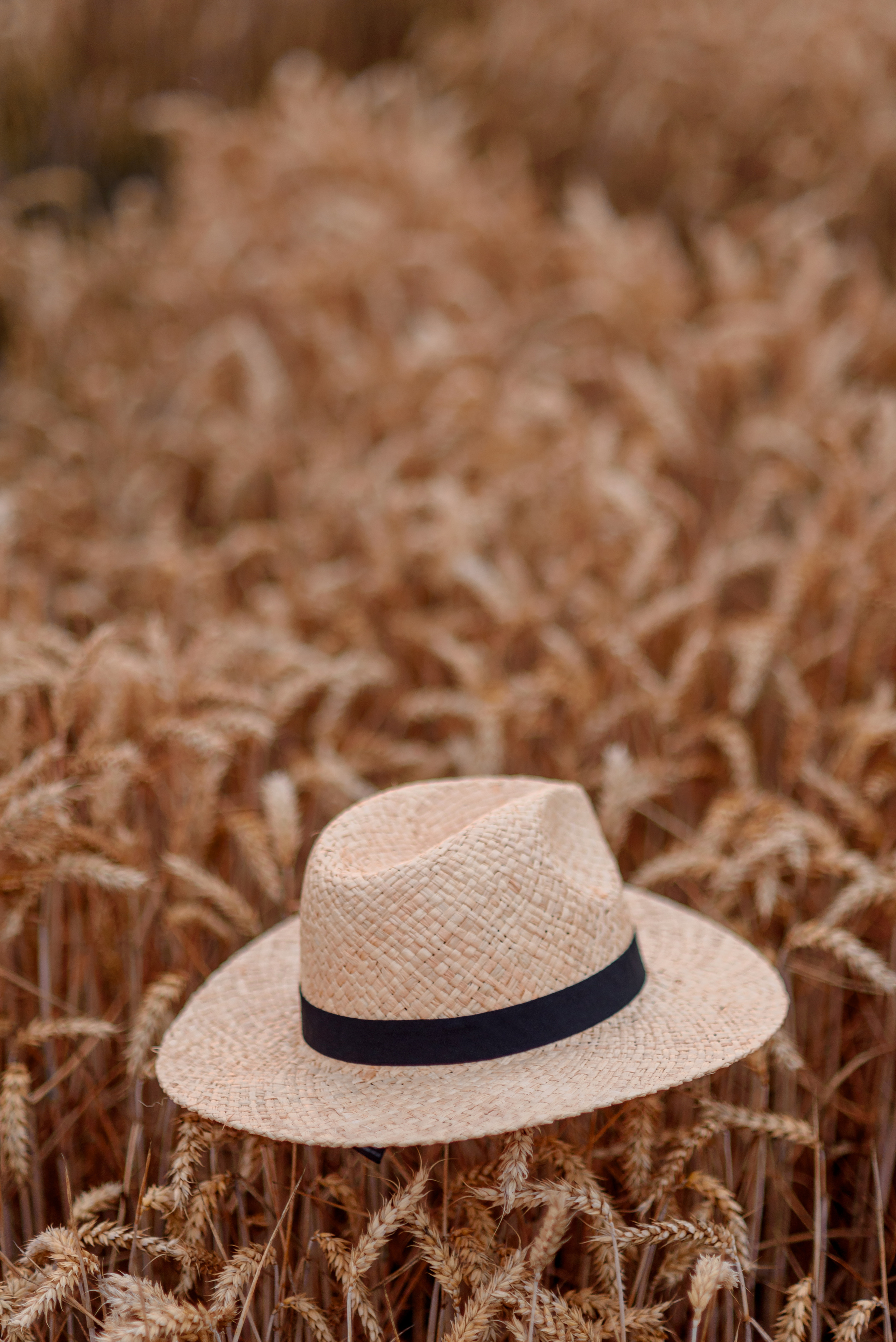 Uliana. Wedding and family photographer