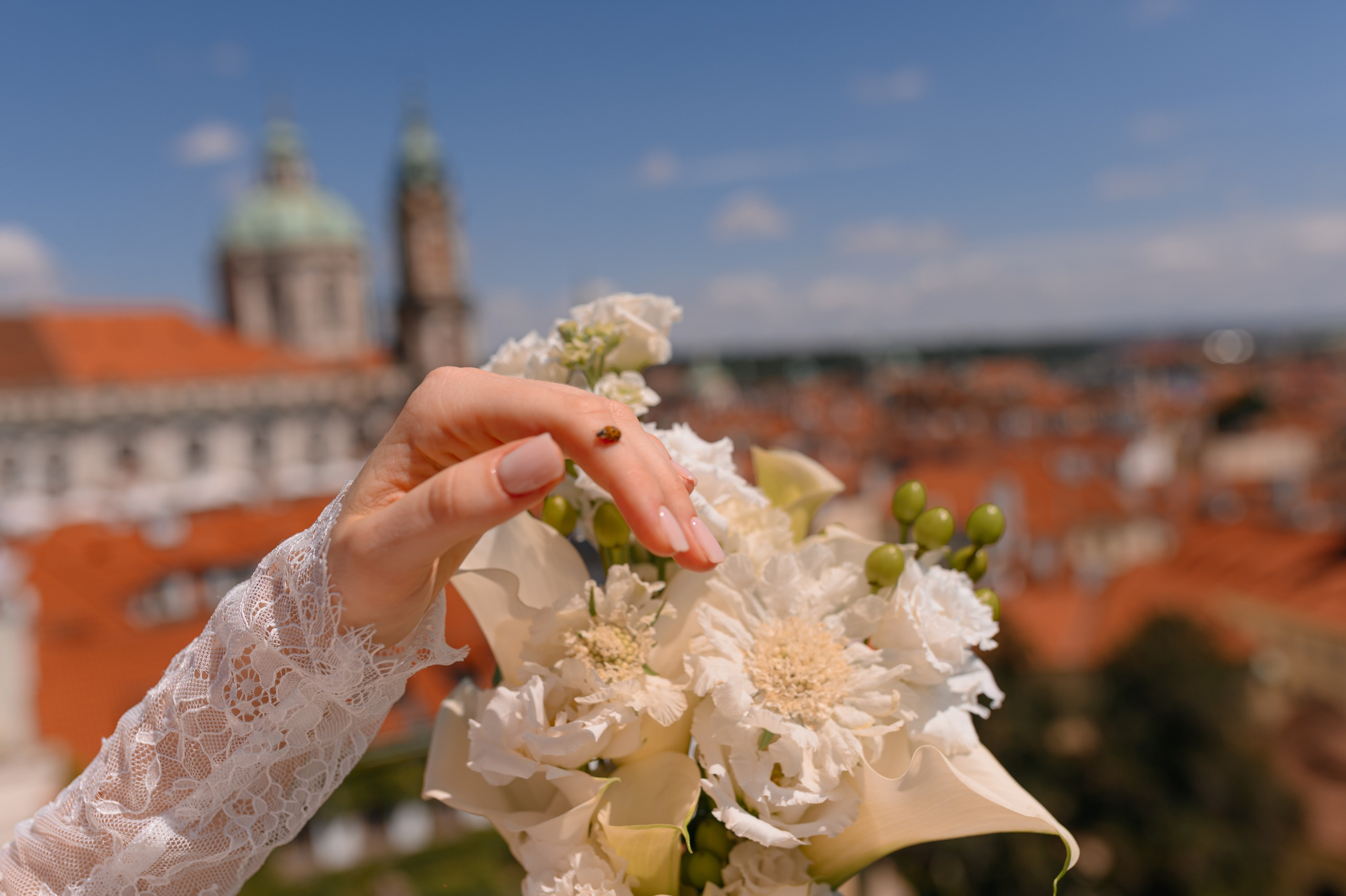 Daniel and Mariya. Wedding and family photographer