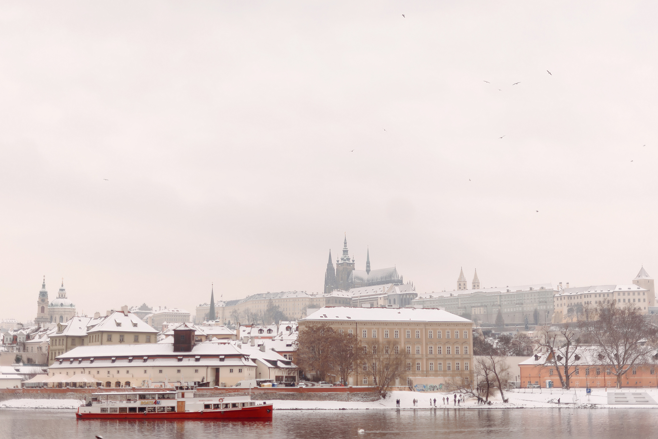 Зимняя свадьба в Праге. Wedding and family photographer