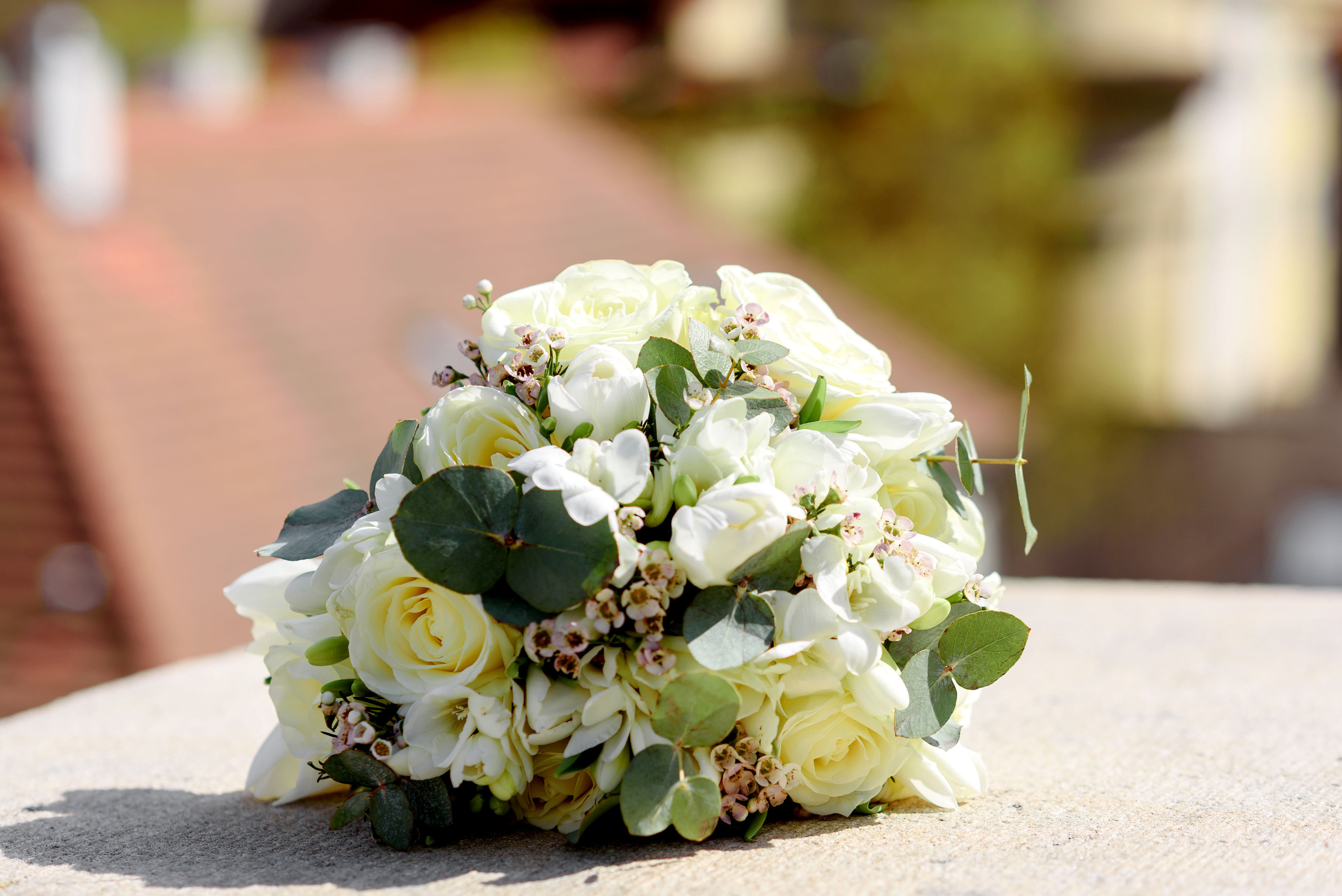 Maxim and Vika. Wedding and family photographer