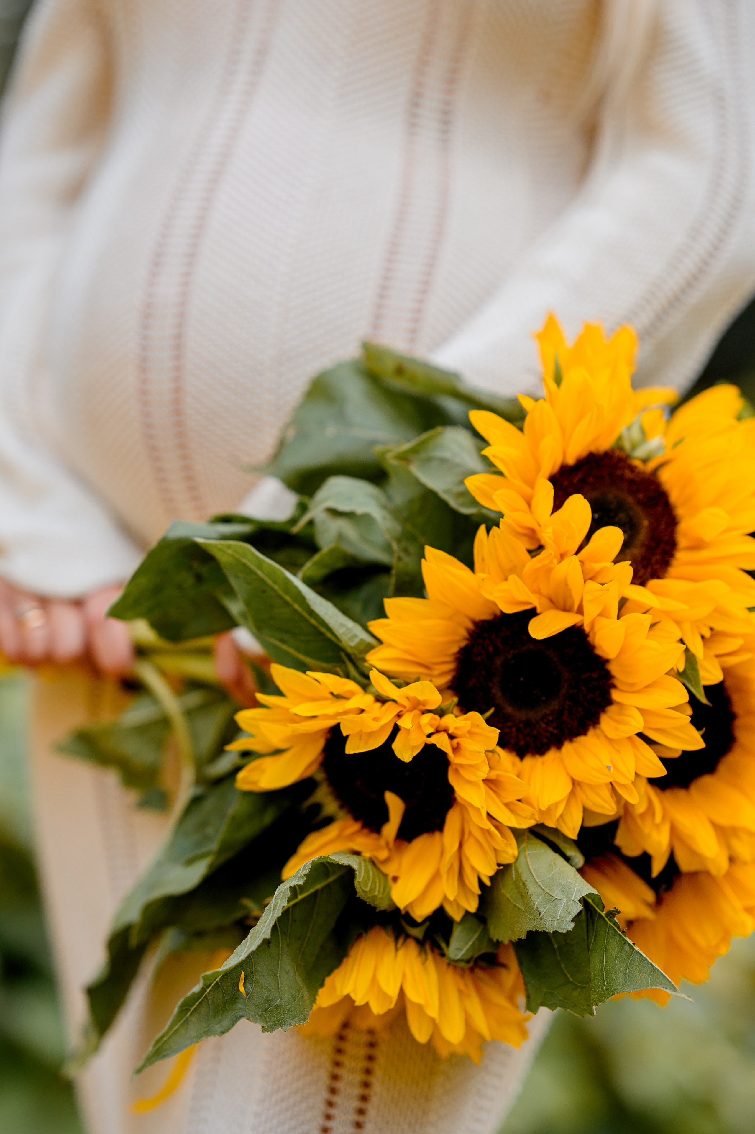 Pregnancy. Wedding and family photographer