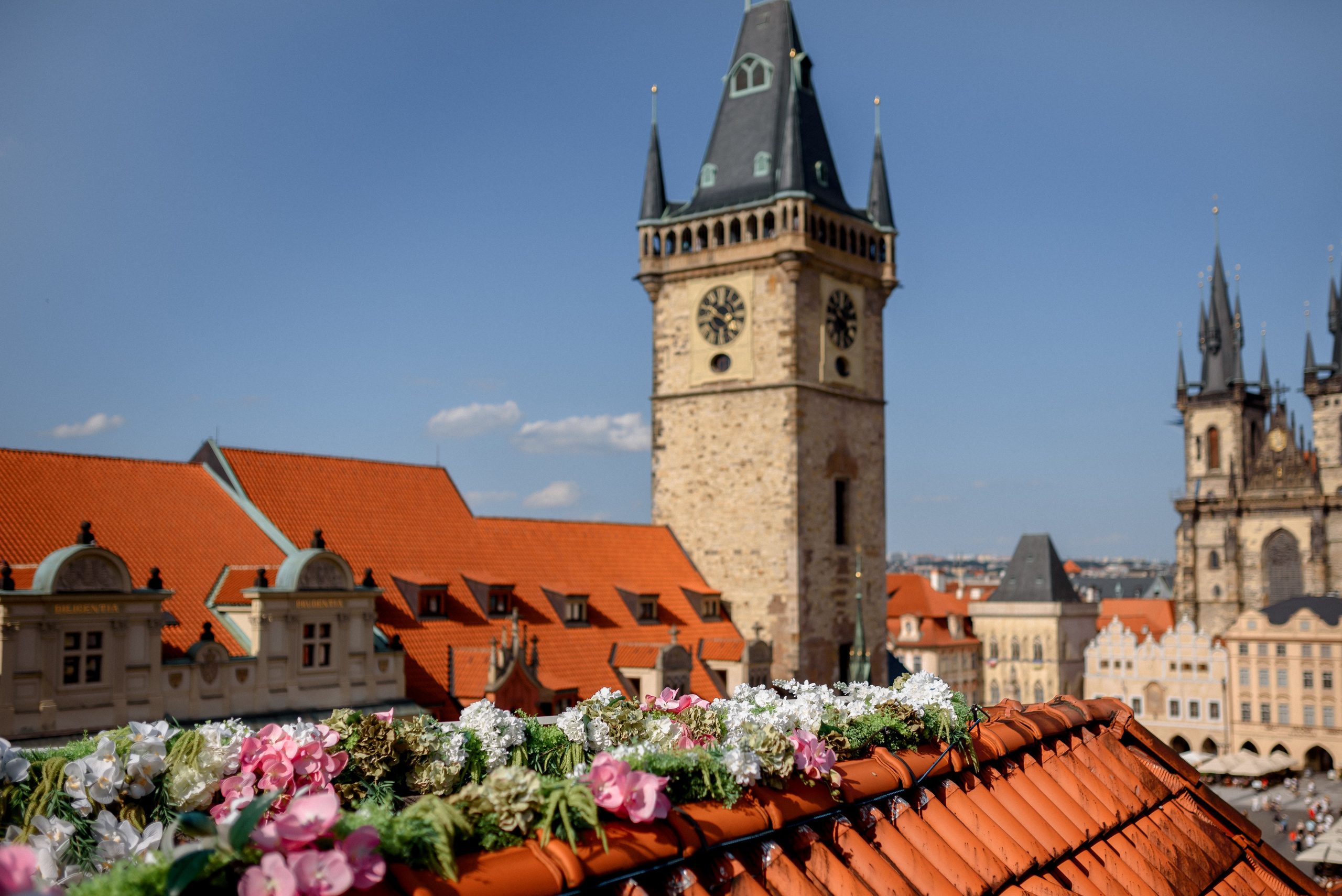 Alina. Wedding and family photographer