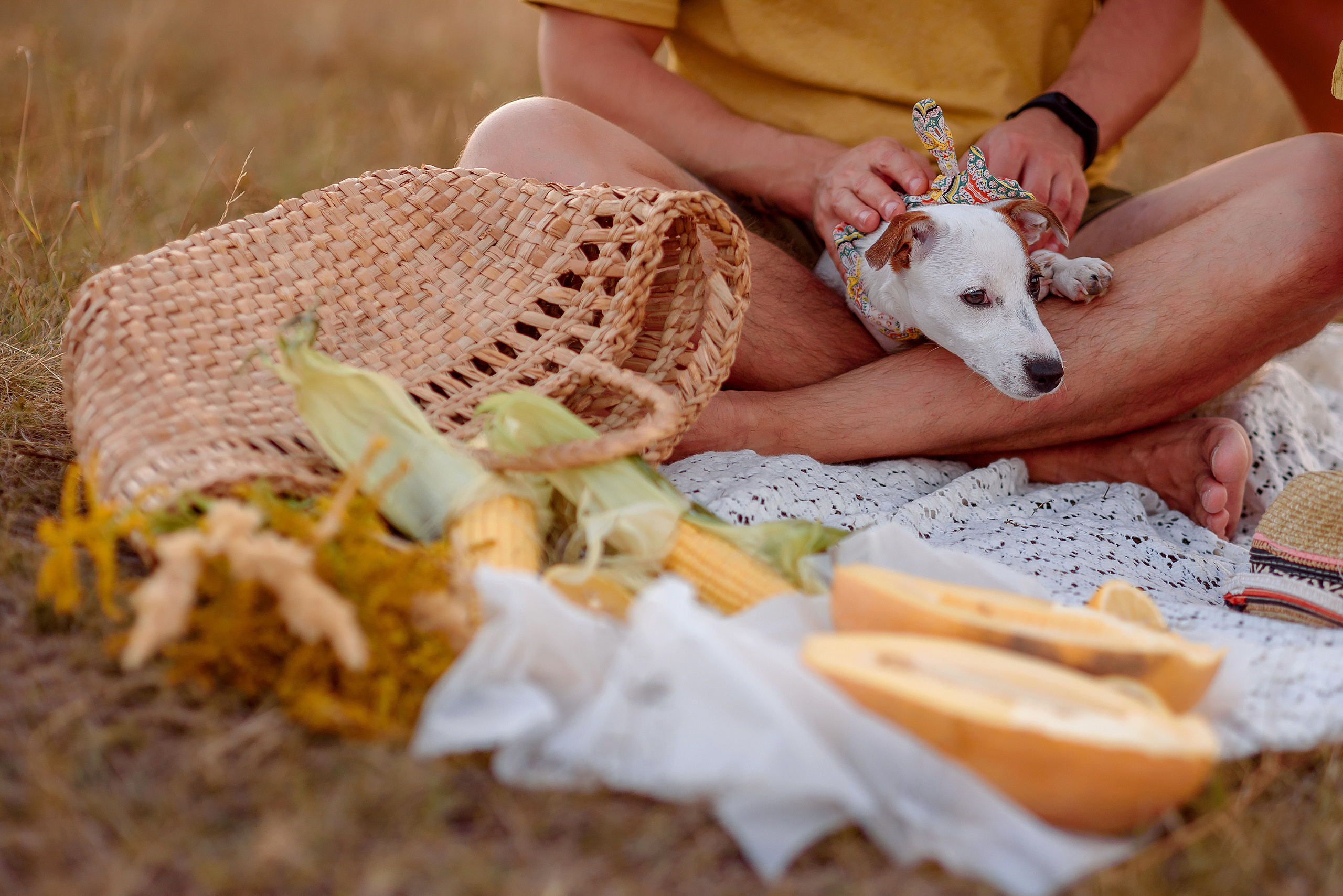 Черкасская лозовая. Wedding and family photographer