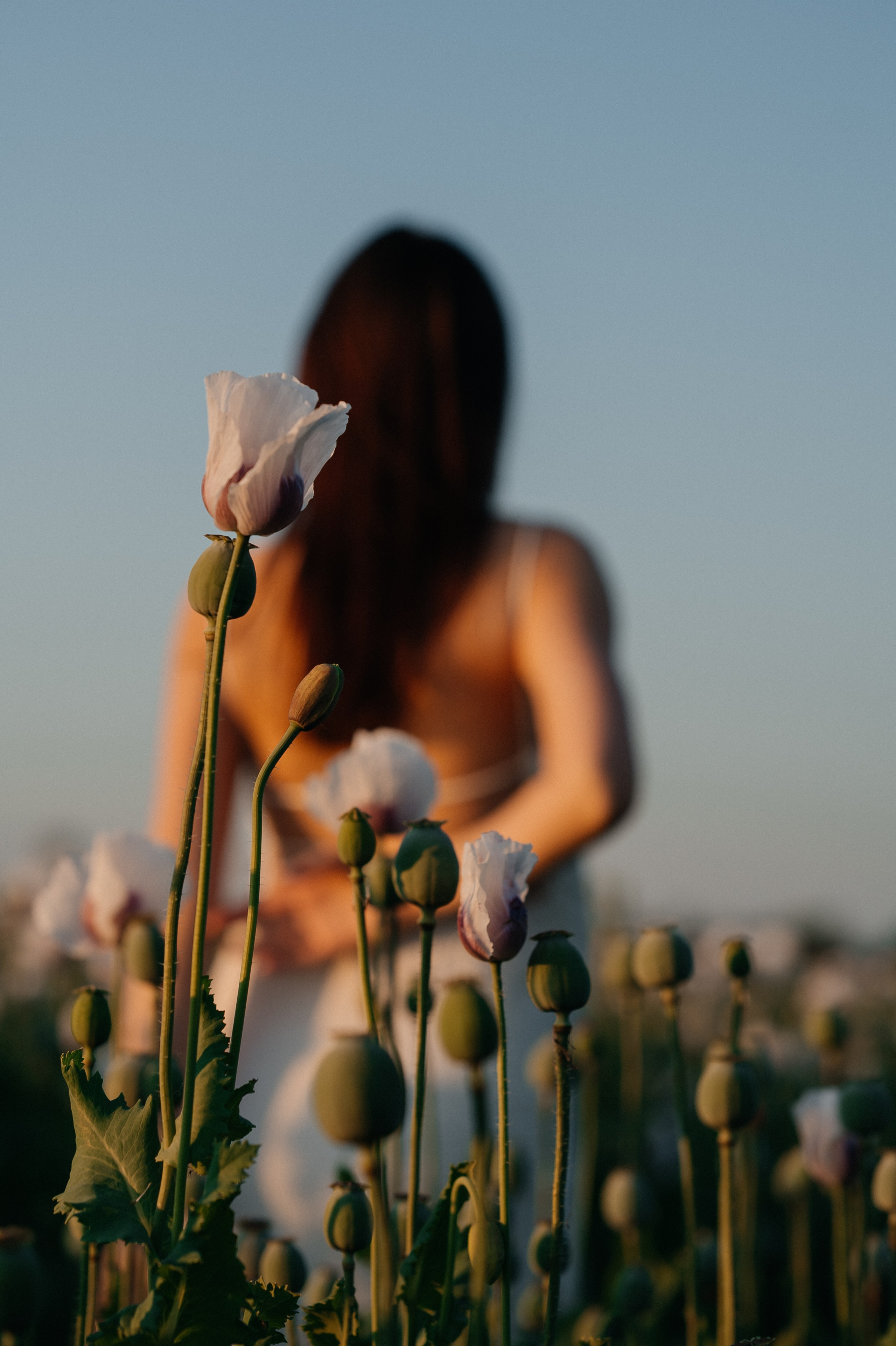 Awaiting a miracle. Wedding and family photographer