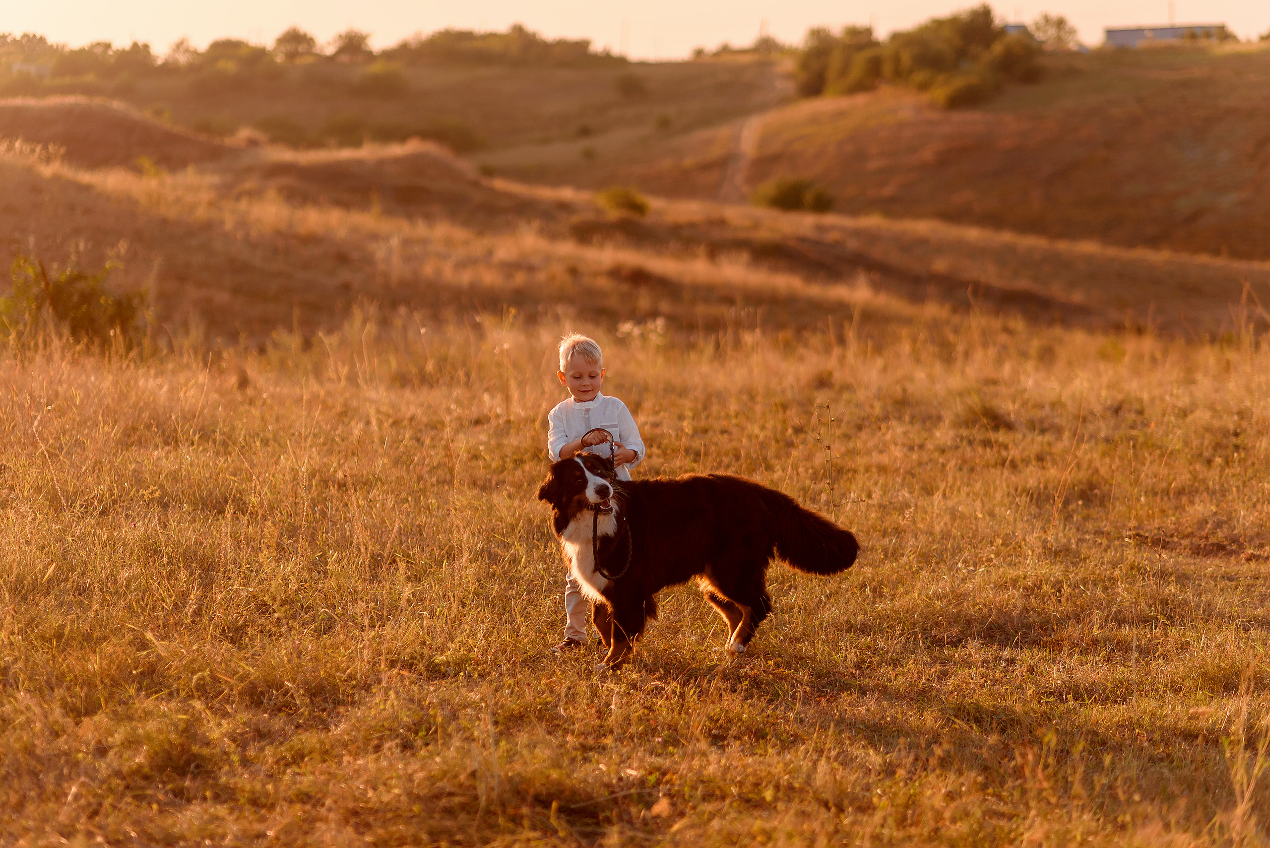 Семейный, Черкасская. Wedding and family photographer