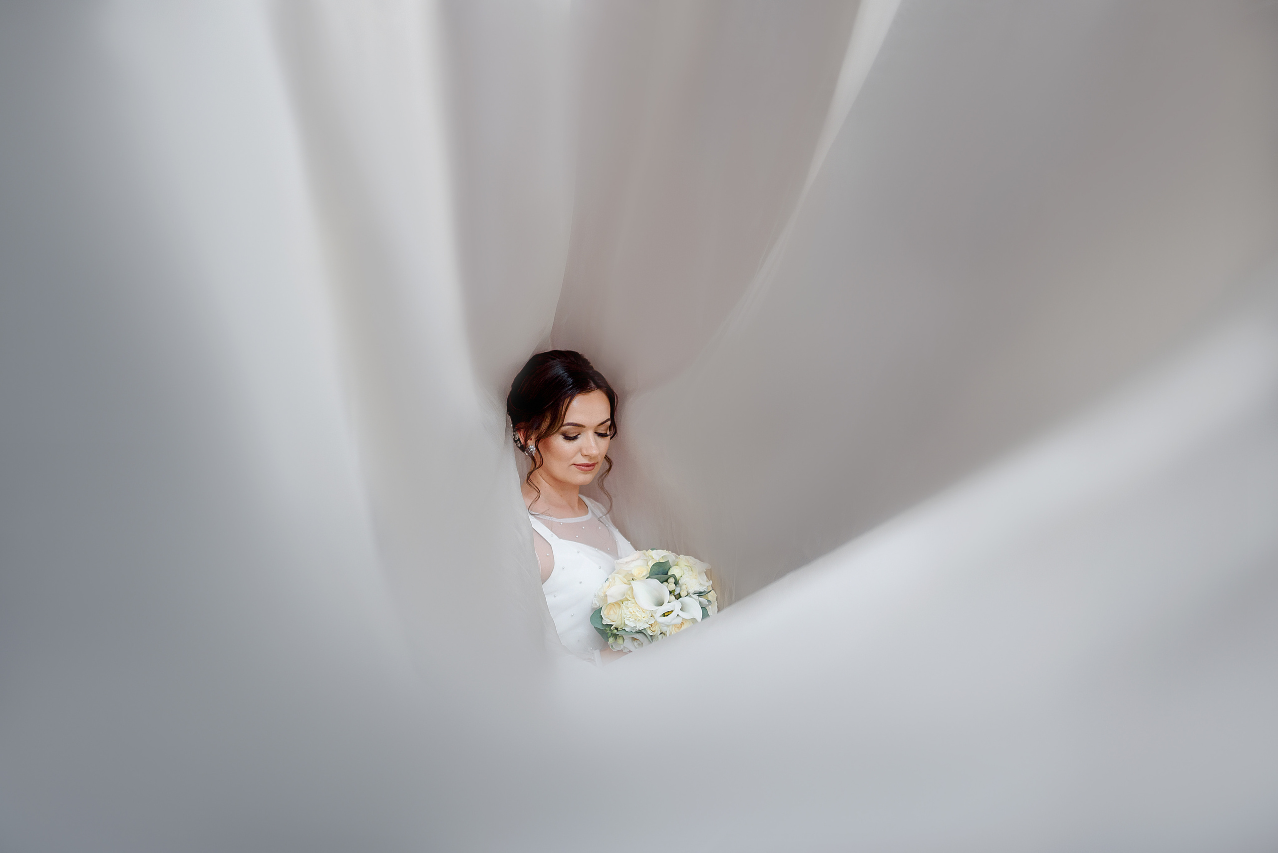 Центральный загс, Лес у Каравана и Собор на Гоголя. Wedding and family photographer