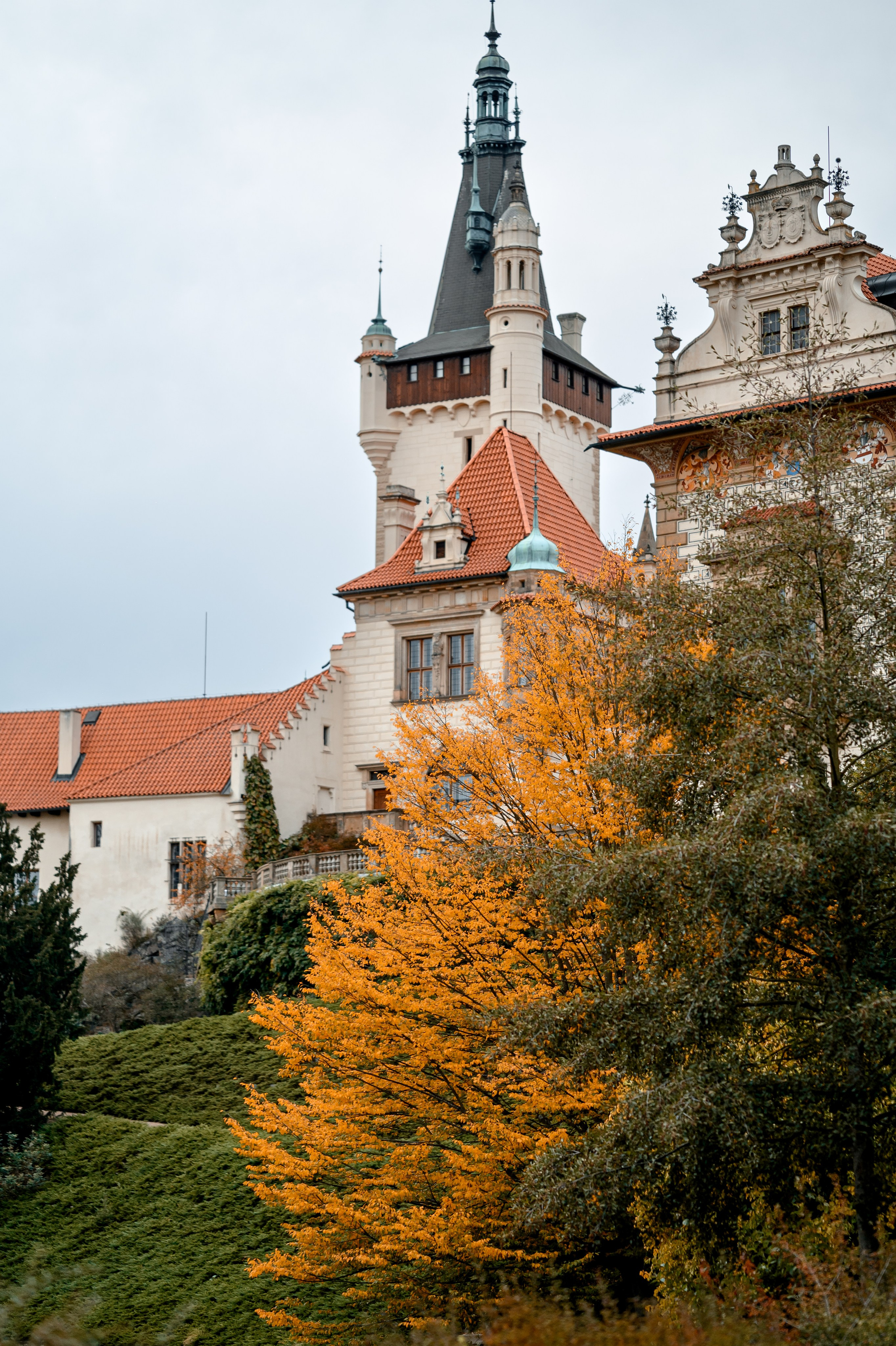 Autumn 2024. Wedding and family photographer