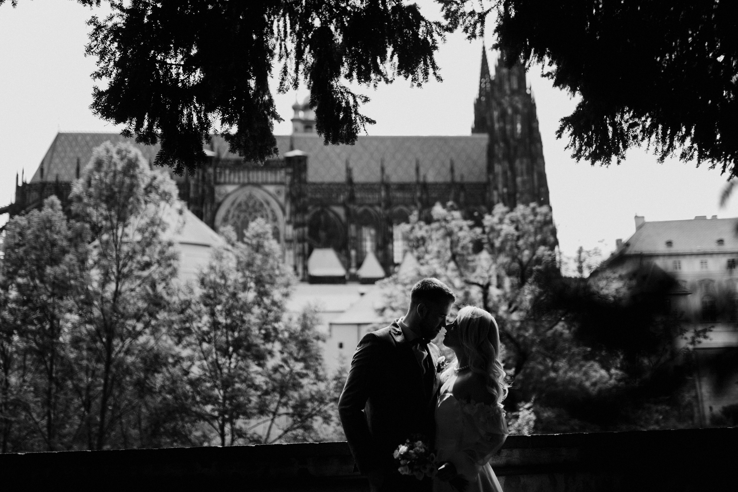 Queen garden. Wedding and family photographer