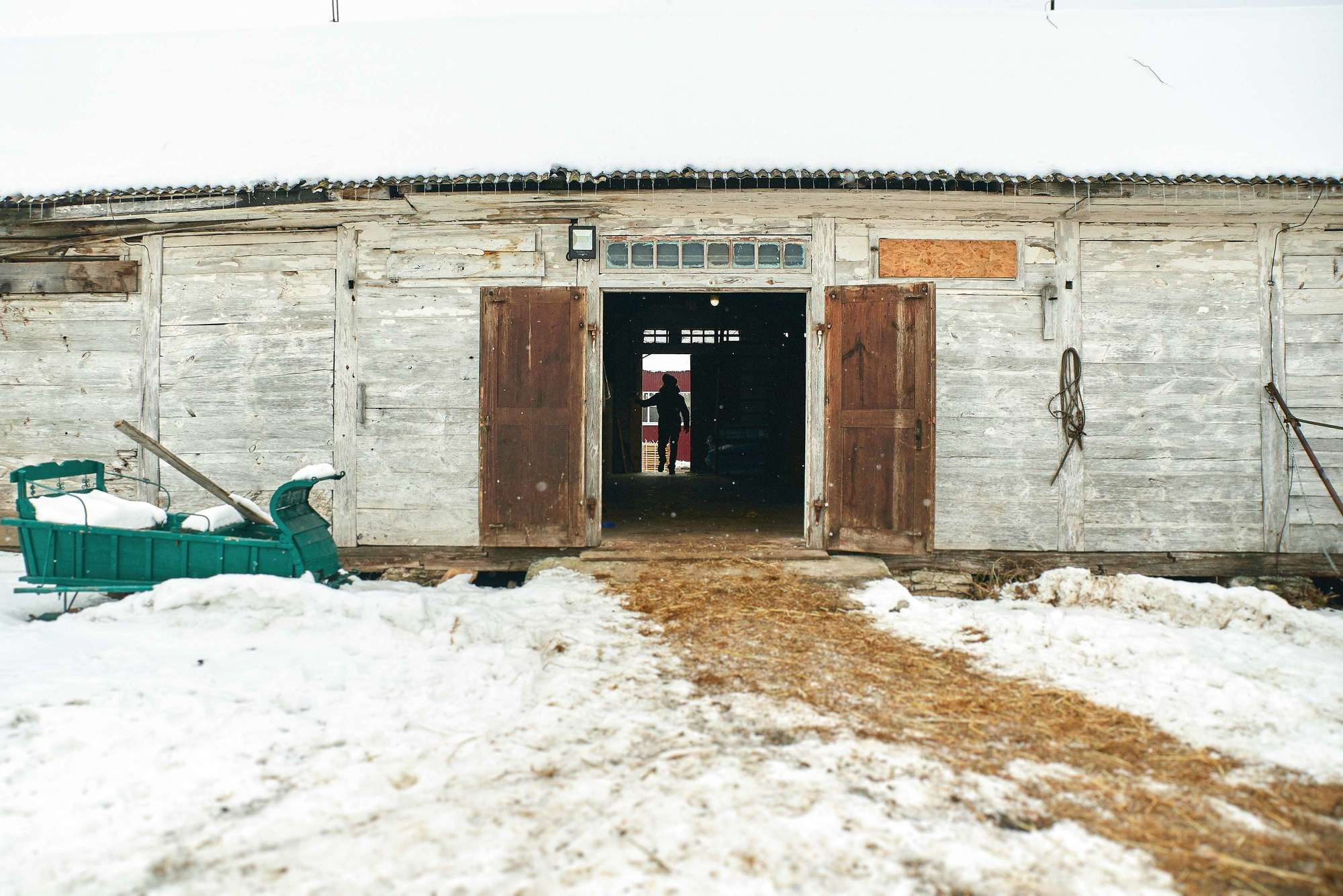 Паша + Даша. Photographer Shepetivka, all over Ukraine, Dzekan Denys!