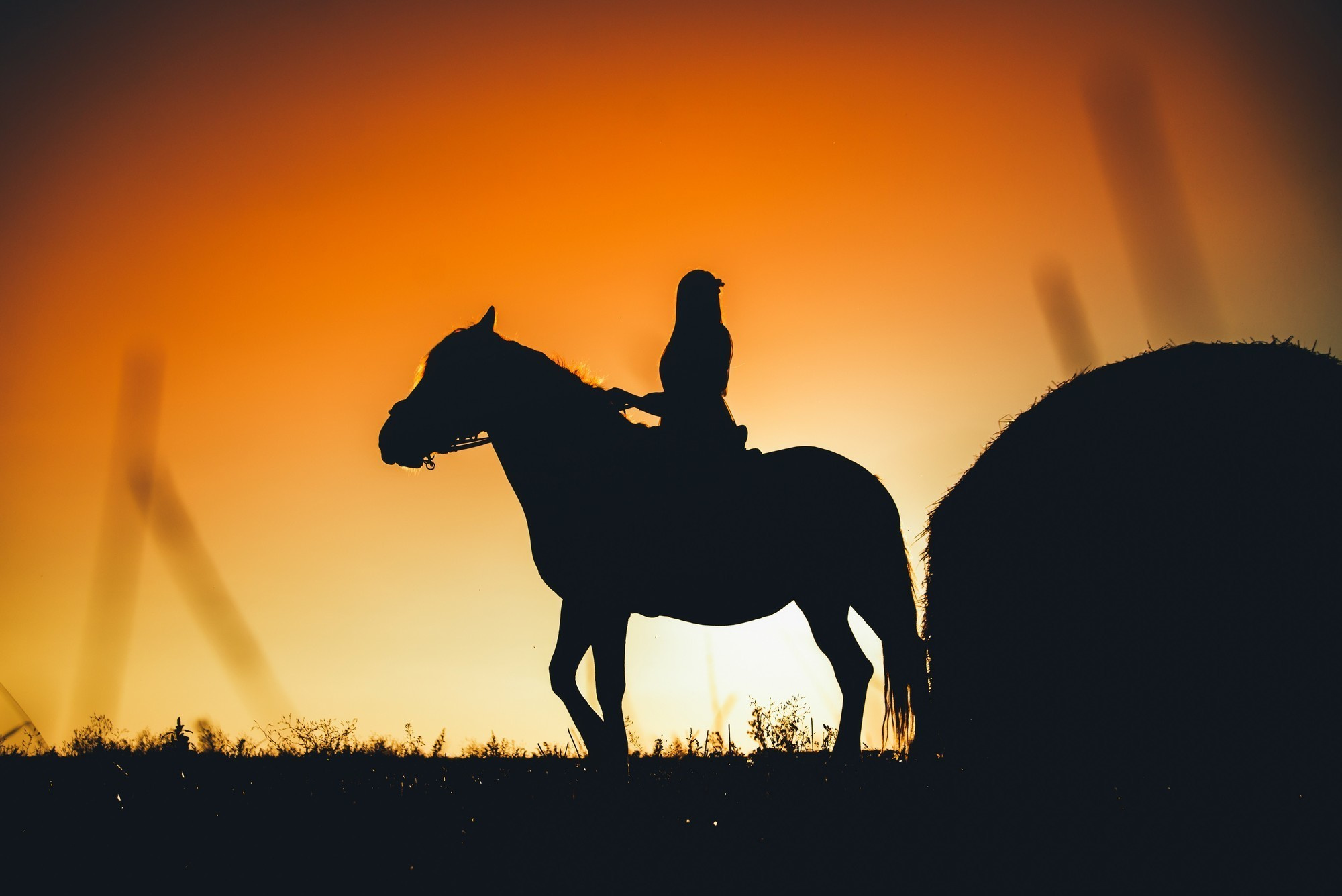 Дівич-вечір. Photographer Shepetivka, all over Ukraine, Dzekan Denys!