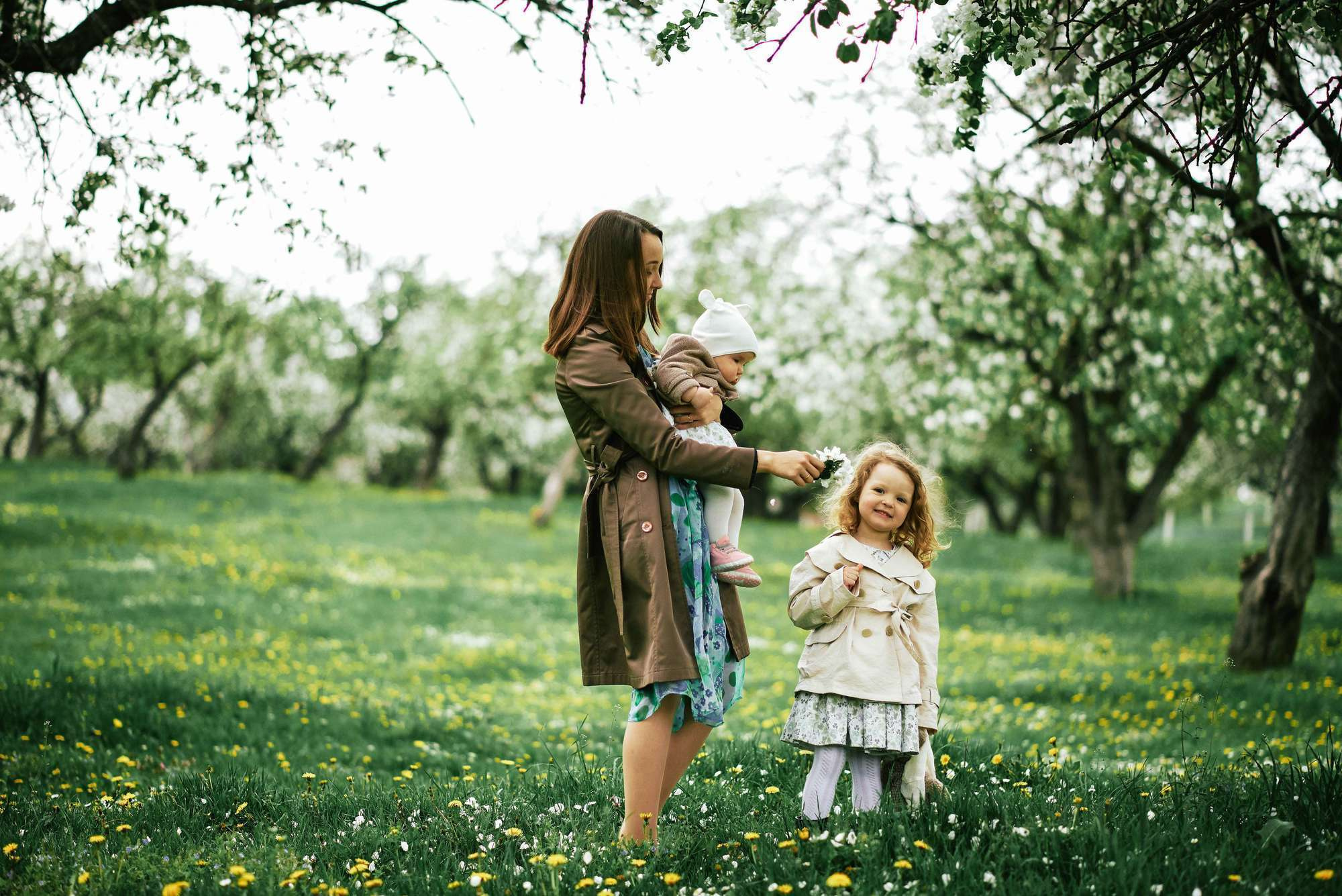 Квітучий садок. Фотограф Шепетівка, вся Україна, Дзекан Денис!