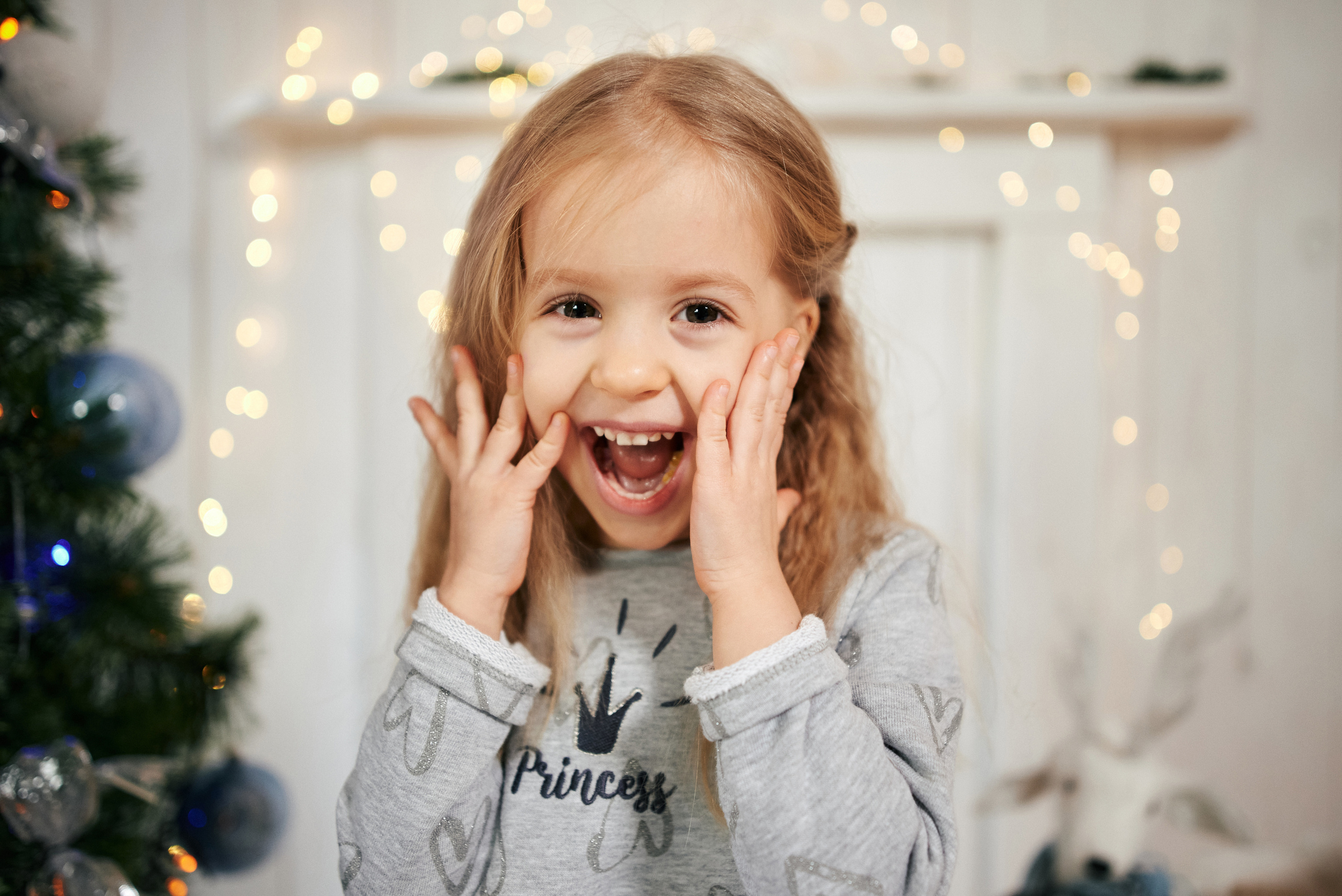 Новорічна, сімейна. Photographer Shepetivka, all over Ukraine, Dzekan Denys!