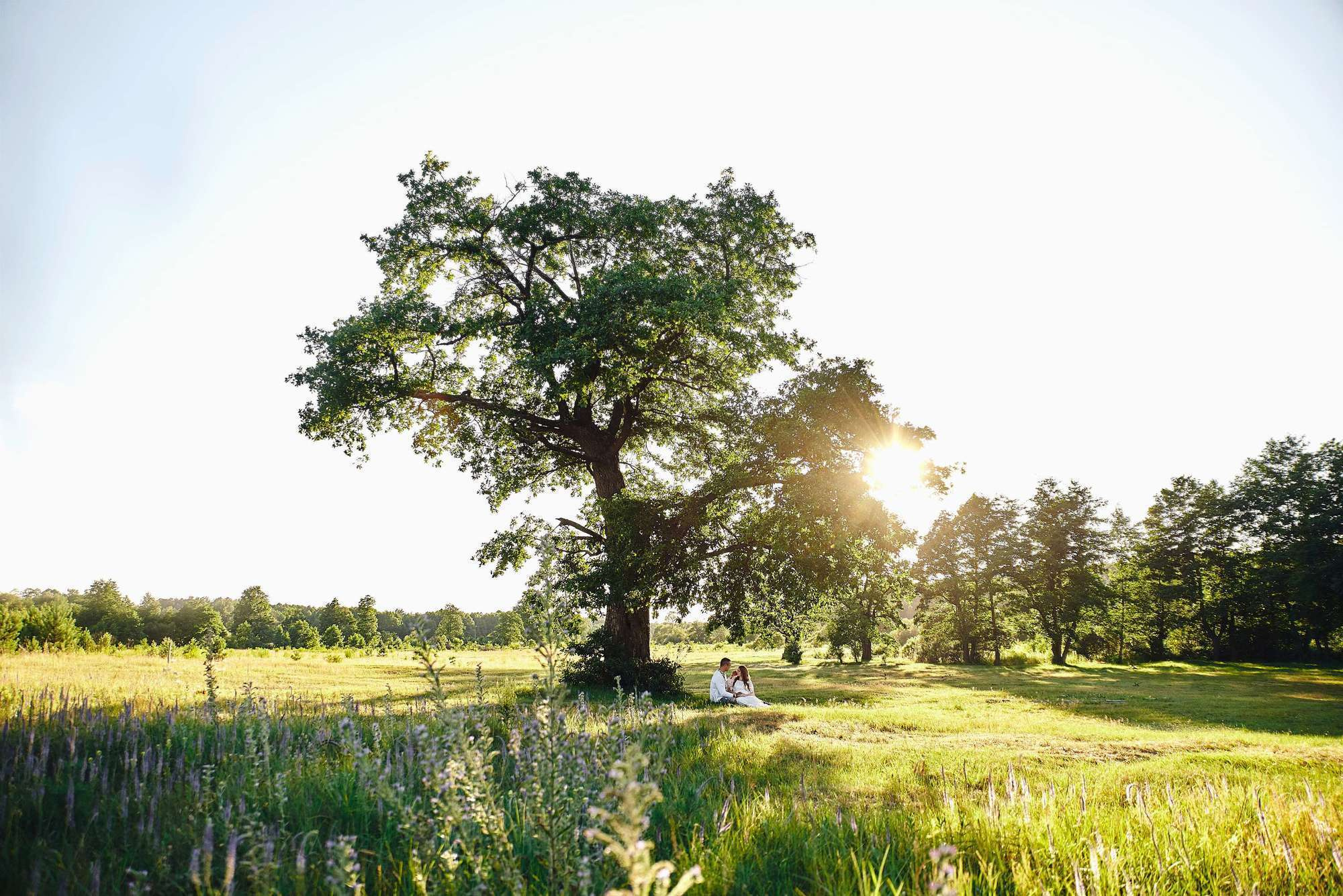 Євгеній+Оксана. Photographer Shepetivka, all over Ukraine, Dzekan Denys!
