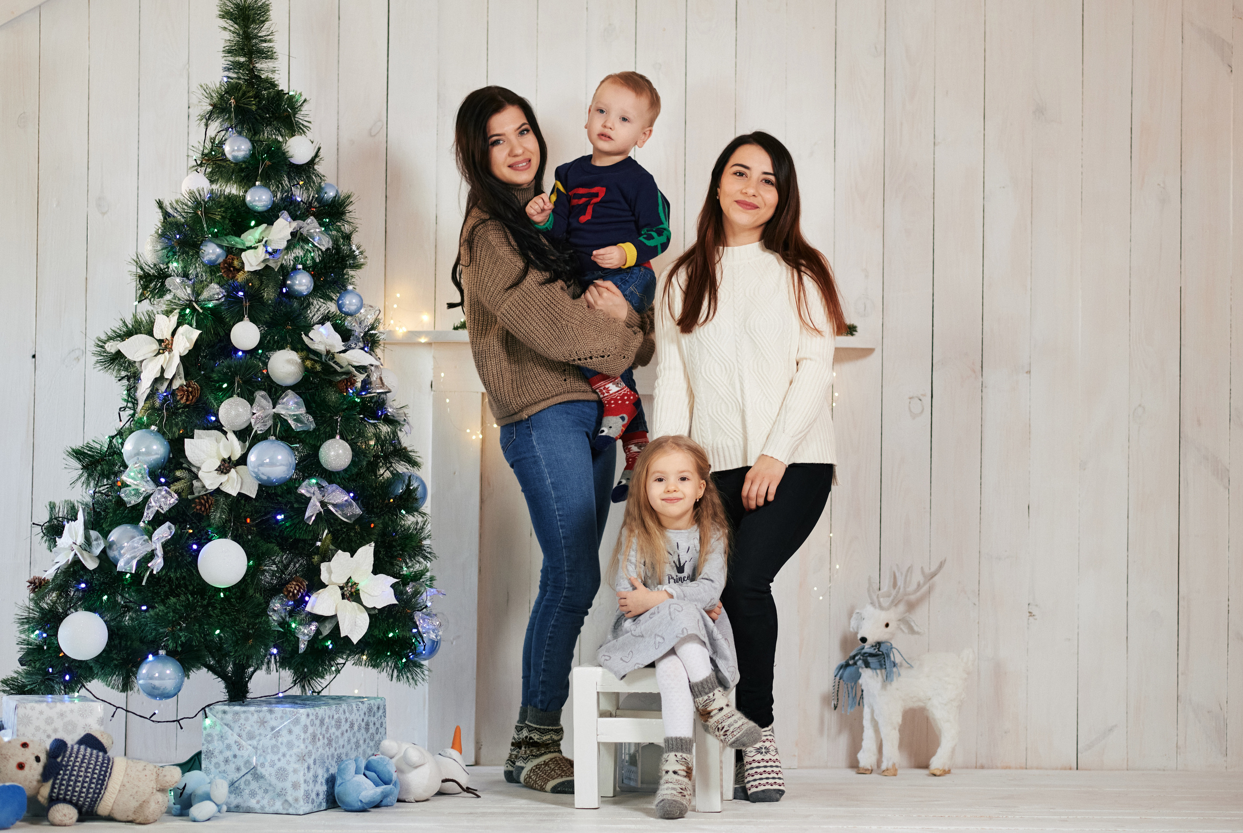 Новорічна, сімейна. Photographer Shepetivka, all over Ukraine, Dzekan Denys!