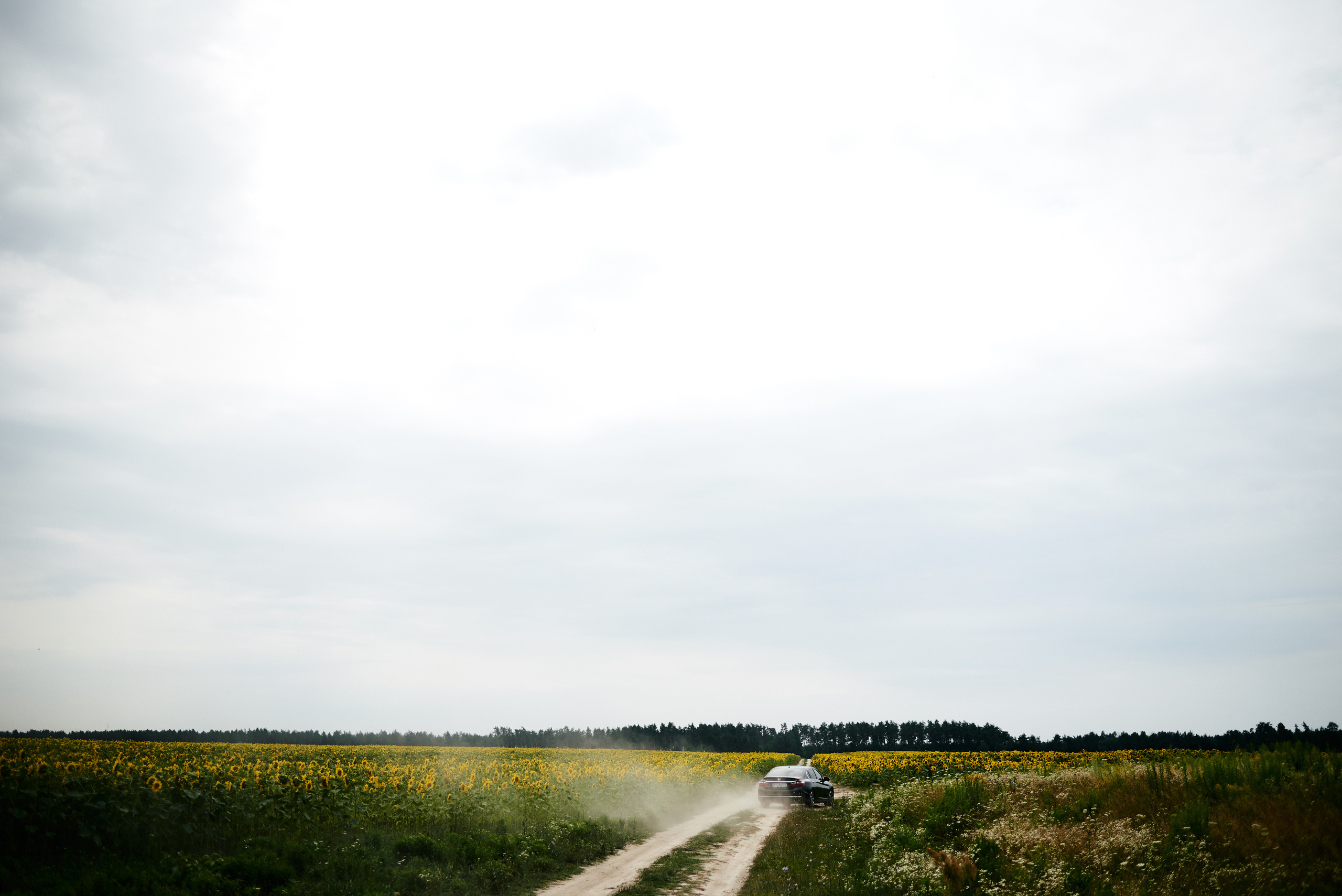 Олексадр & Анастасія, Весілля Нетішин, Сонет, ресторан сонет, весілля. Фотограф Шепетівка, вся Україна, Дзекан Денис!