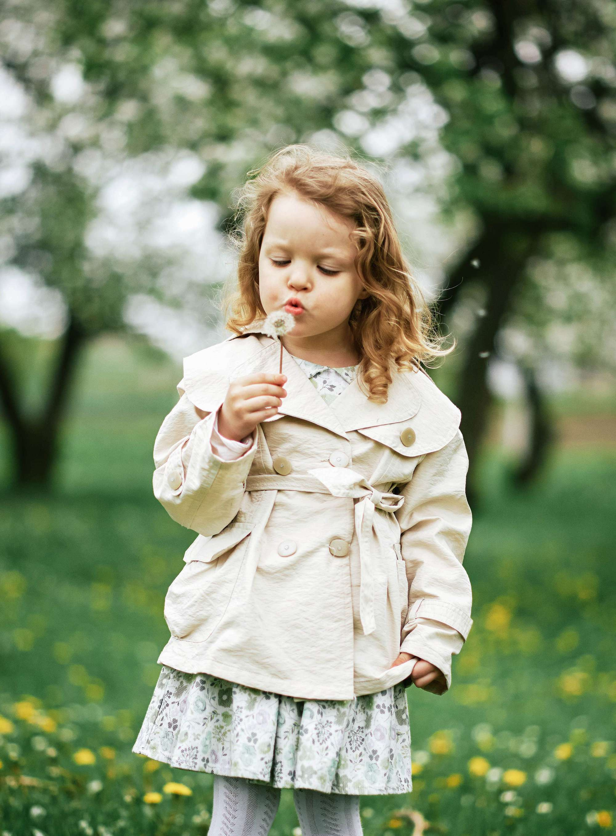 Квітучий садок. Фотограф Шепетівка, вся Україна, Дзекан Денис!