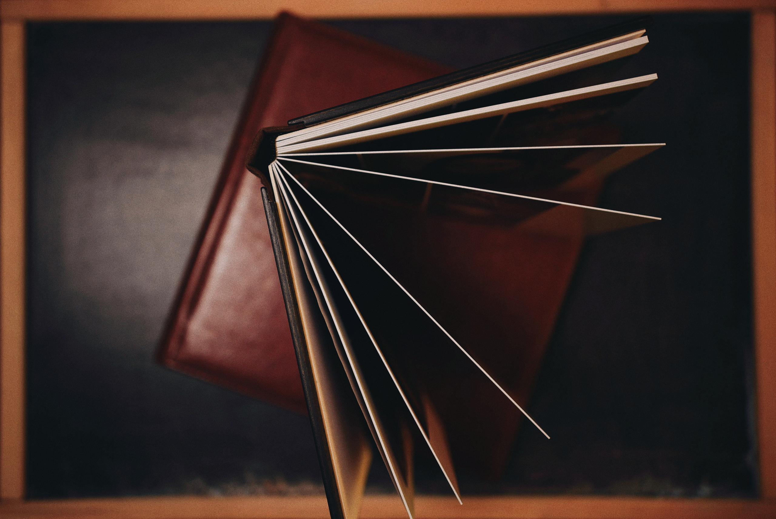 Сертифікати. Фотограф Шепетівка, вся Україна, Дзекан Денис!