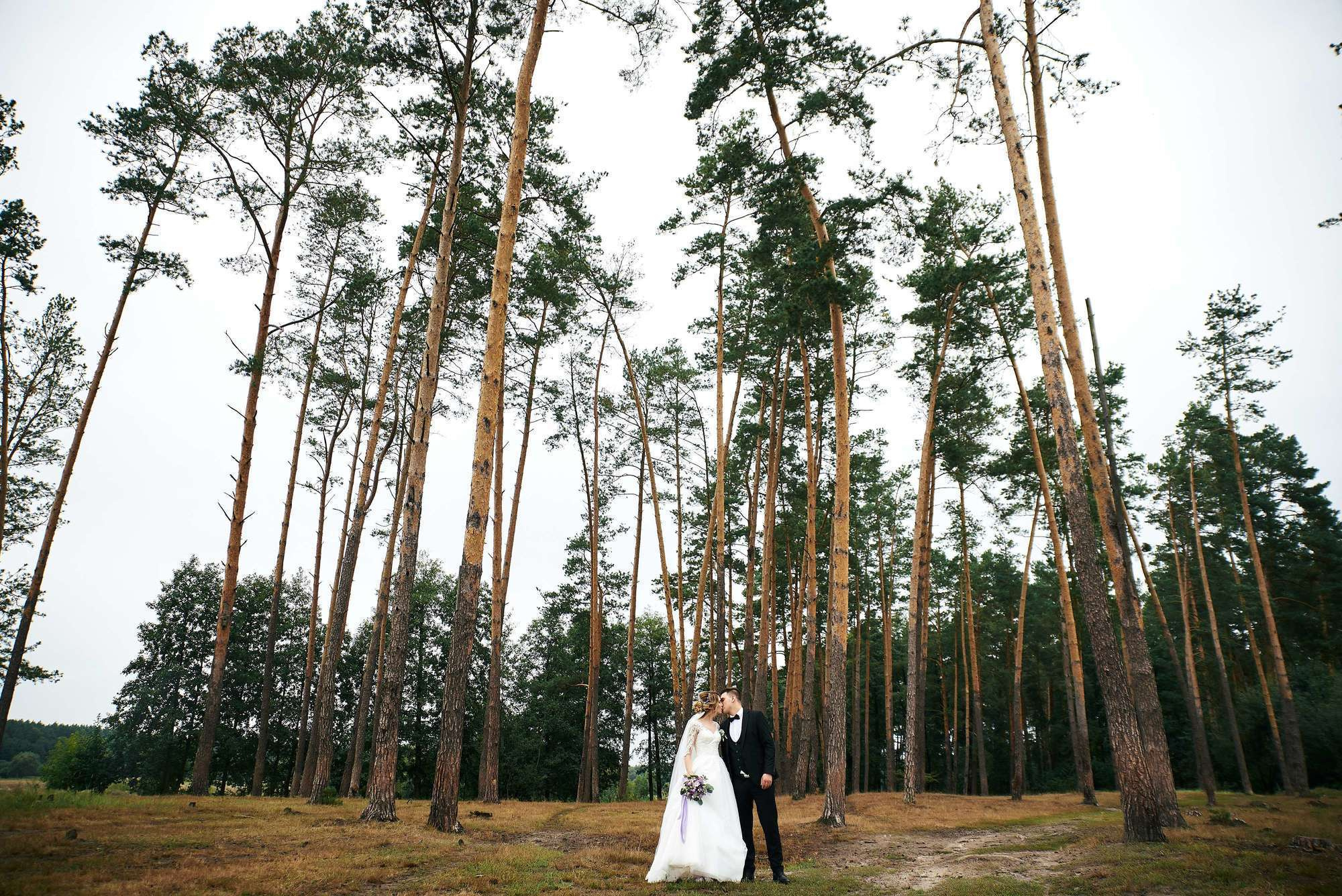 Максим & Маріна, фотограф шепетовка, фотограф пліщин, весільне плаття,. Фотограф Шепетівка, вся Україна, Дзекан Денис!