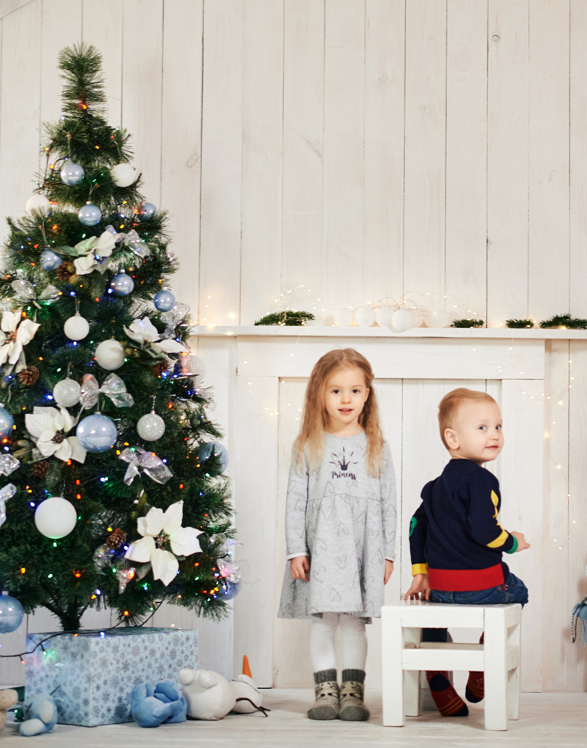 Новорічна, сімейна. Photographer Shepetivka, all over Ukraine, Dzekan Denys!