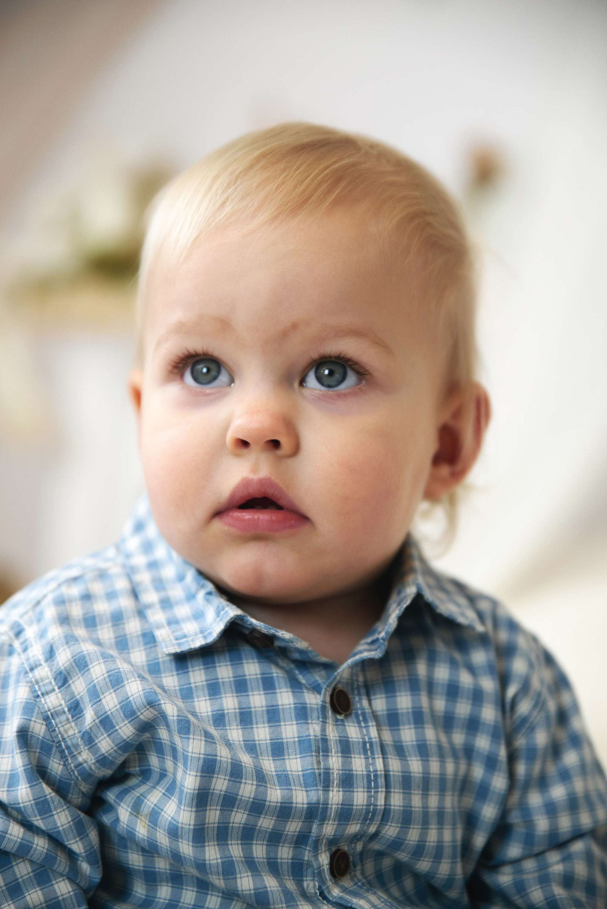 Новорічна зйомка у студії Family. Photographer Shepetivka, all over Ukraine, Dzekan Denys!