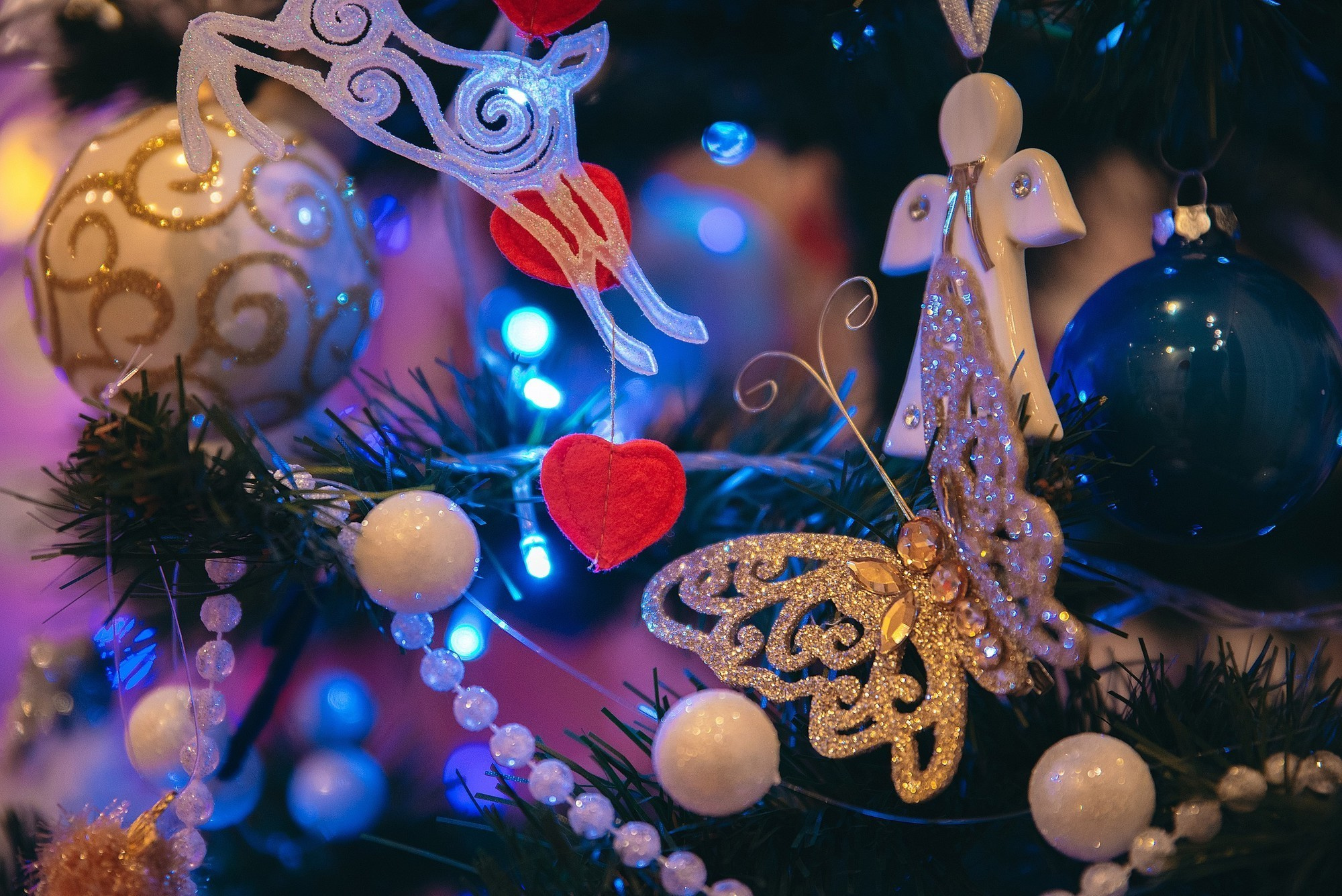 Сімейна, домашня. Photographer Shepetivka, all over Ukraine, Dzekan Denys!