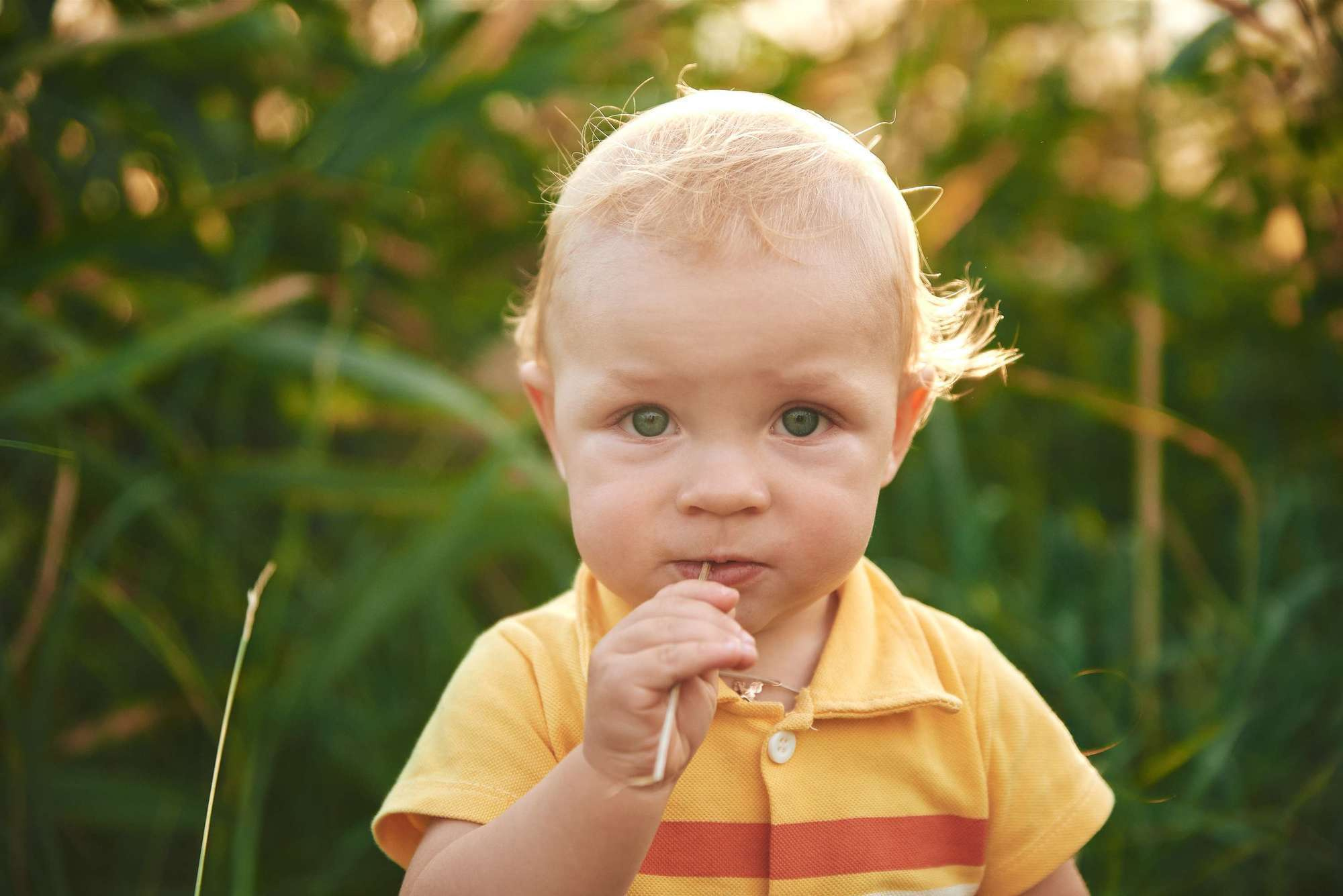 Надя+Рома (сімейна зйомка). Photographer Shepetivka, all over Ukraine, Dzekan Denys!