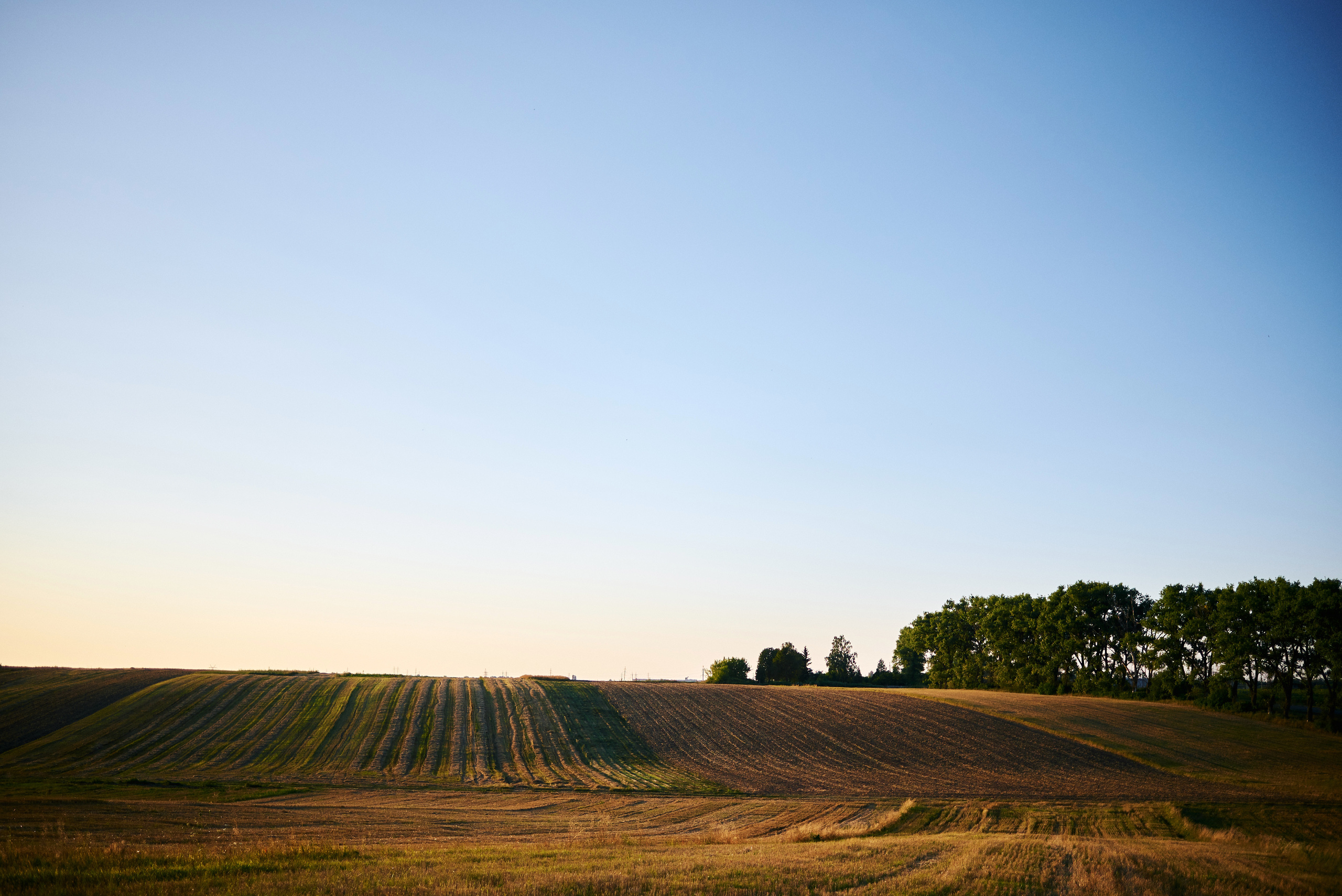 Прогулянка Софійки. Photographer Shepetivka, all over Ukraine, Dzekan Denys!