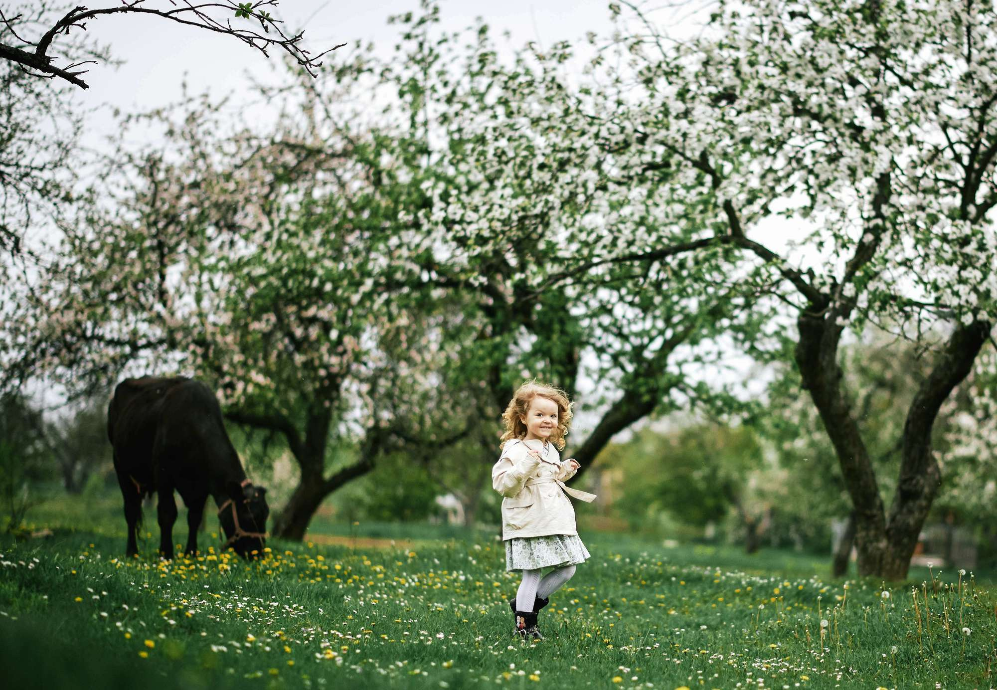 Квітучий садок. Фотограф Шепетівка, вся Україна, Дзекан Денис!