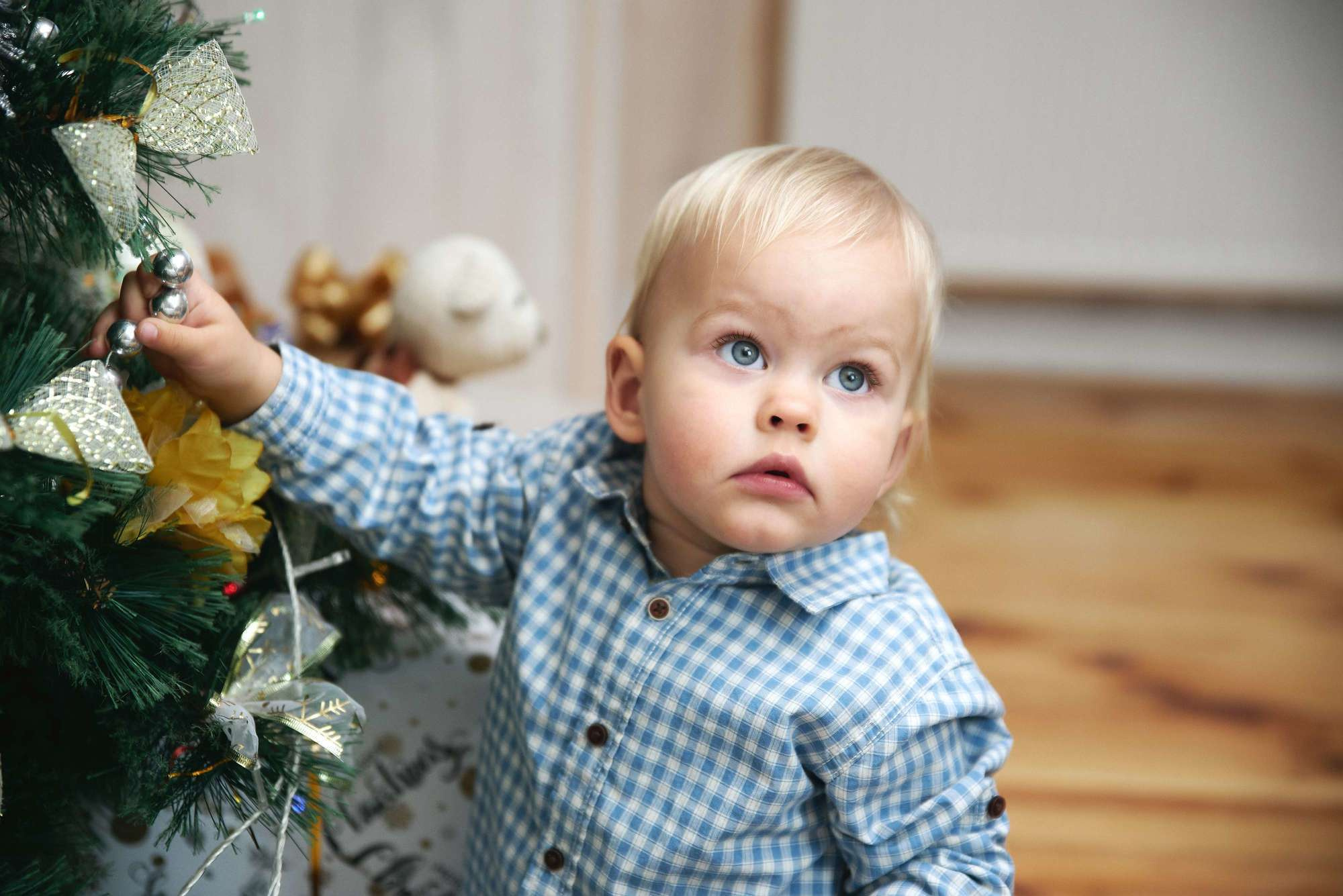 Новорічна зйомка у студії Family. Photographer Shepetivka, all over Ukraine, Dzekan Denys!