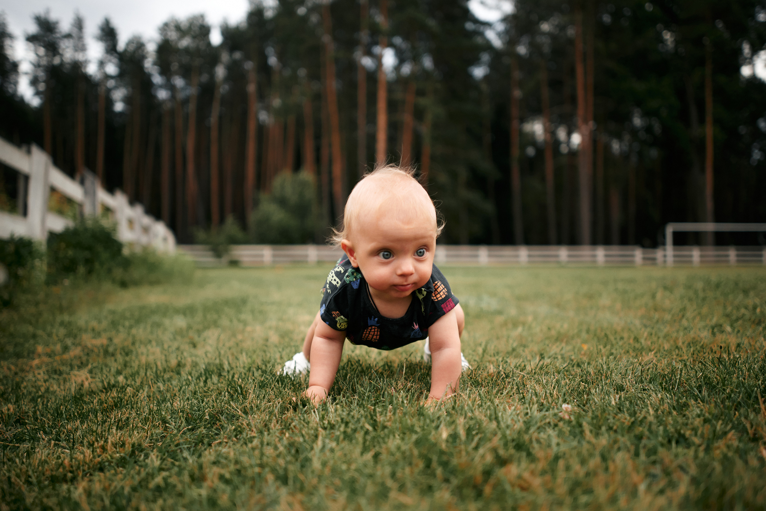 Сімейна прогулянка в сосновому лісі. Photographer Shepetivka, all over Ukraine, Dzekan Denys!