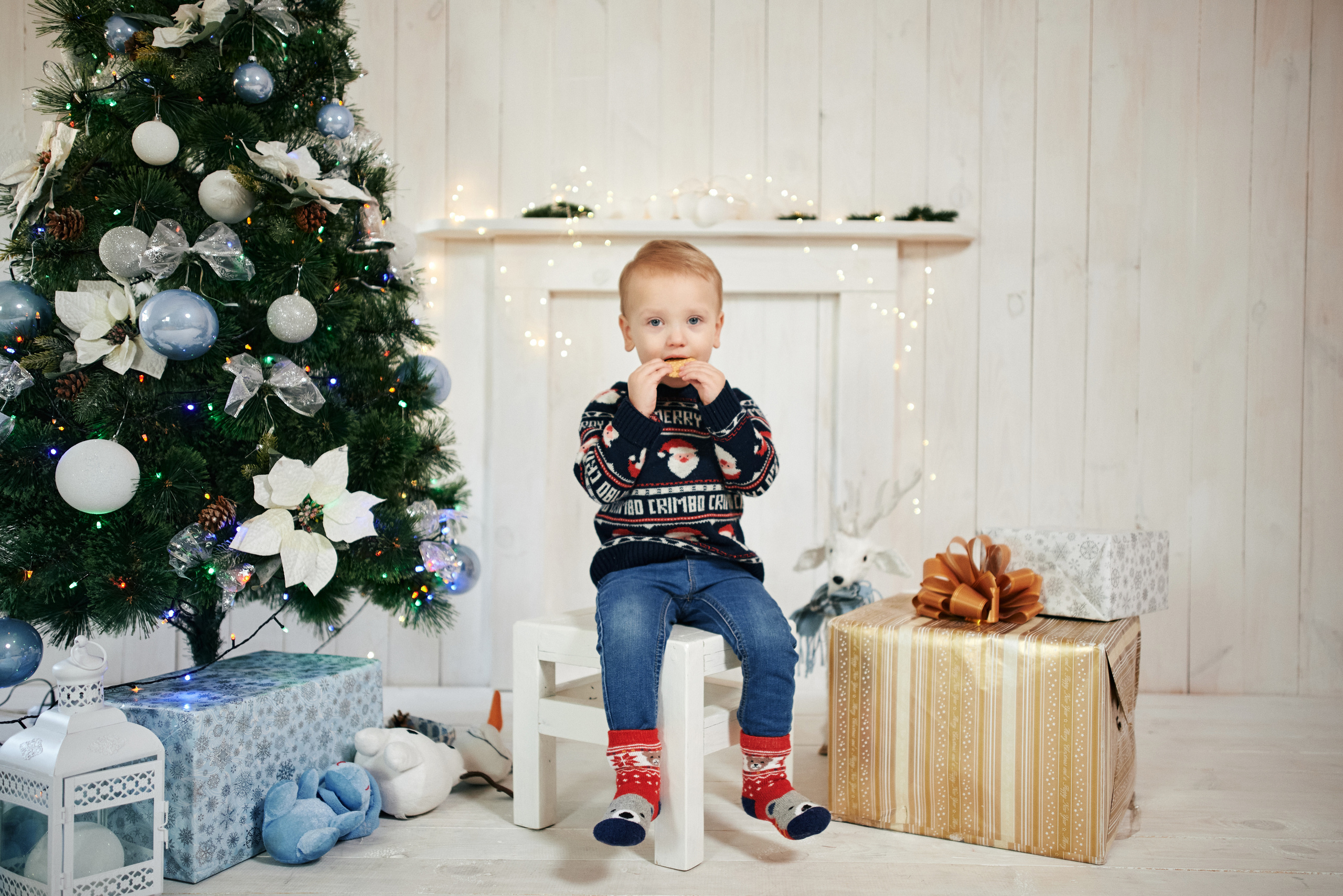 Новорічна, сімейна. Photographer Shepetivka, all over Ukraine, Dzekan Denys!