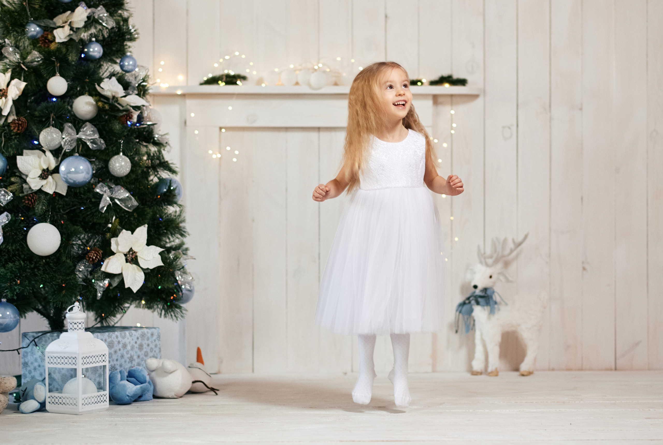 Новорічна, сімейна. Photographer Shepetivka, all over Ukraine, Dzekan Denys!