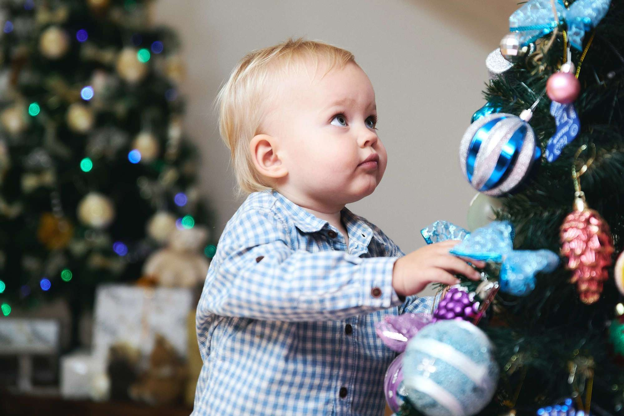 Новорічна зйомка у студії Family. Photographer Shepetivka, all over Ukraine, Dzekan Denys!