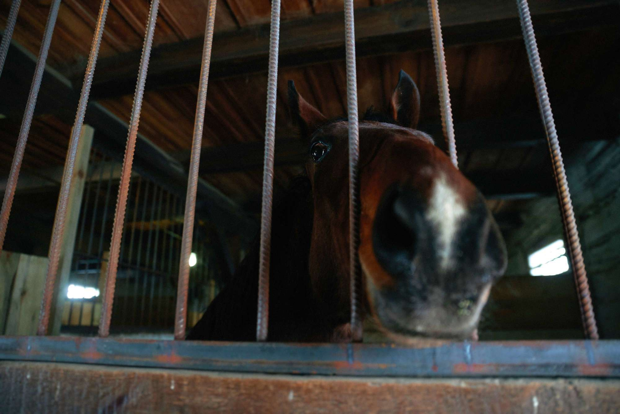 Паша + Даша. Photographer Shepetivka, all over Ukraine, Dzekan Denys!