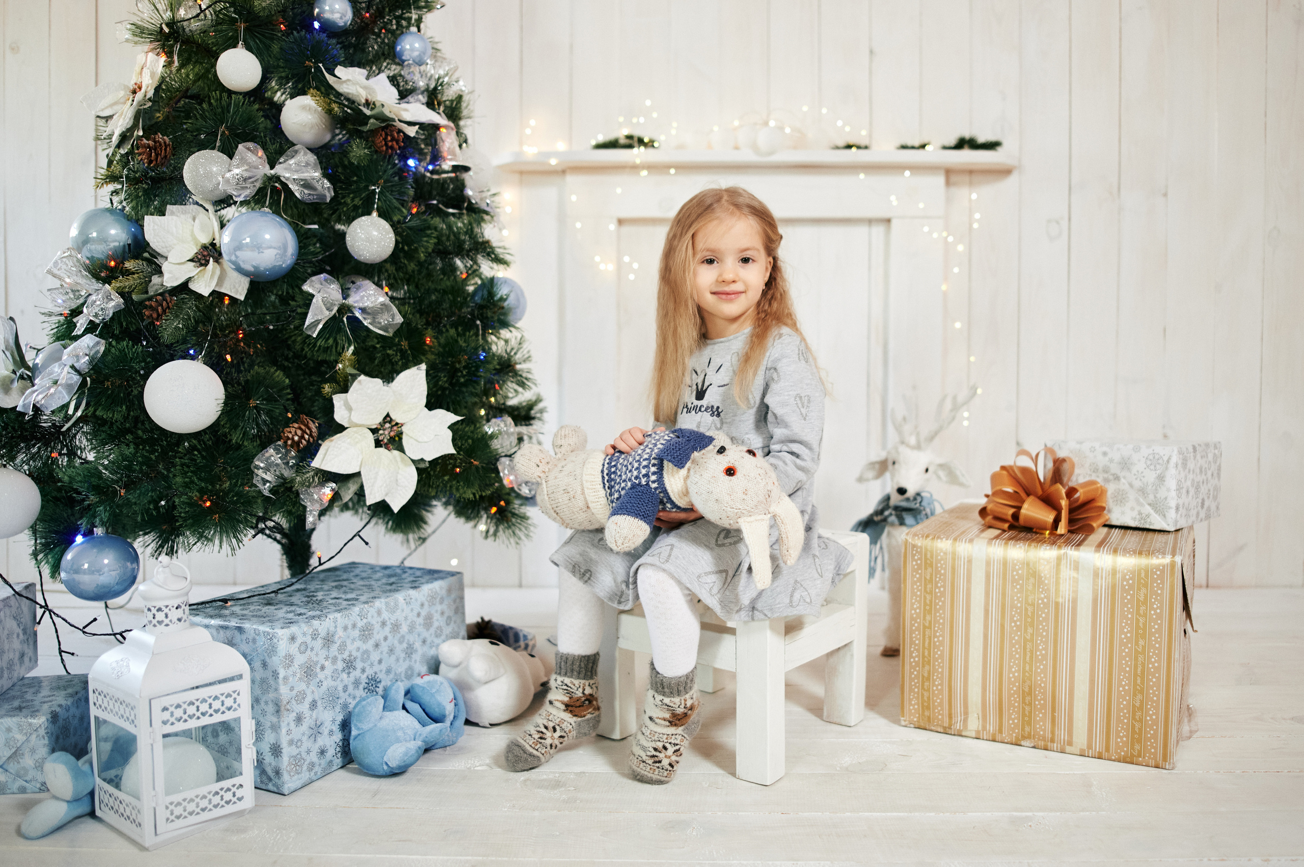 Новорічна, сімейна. Photographer Shepetivka, all over Ukraine, Dzekan Denys!