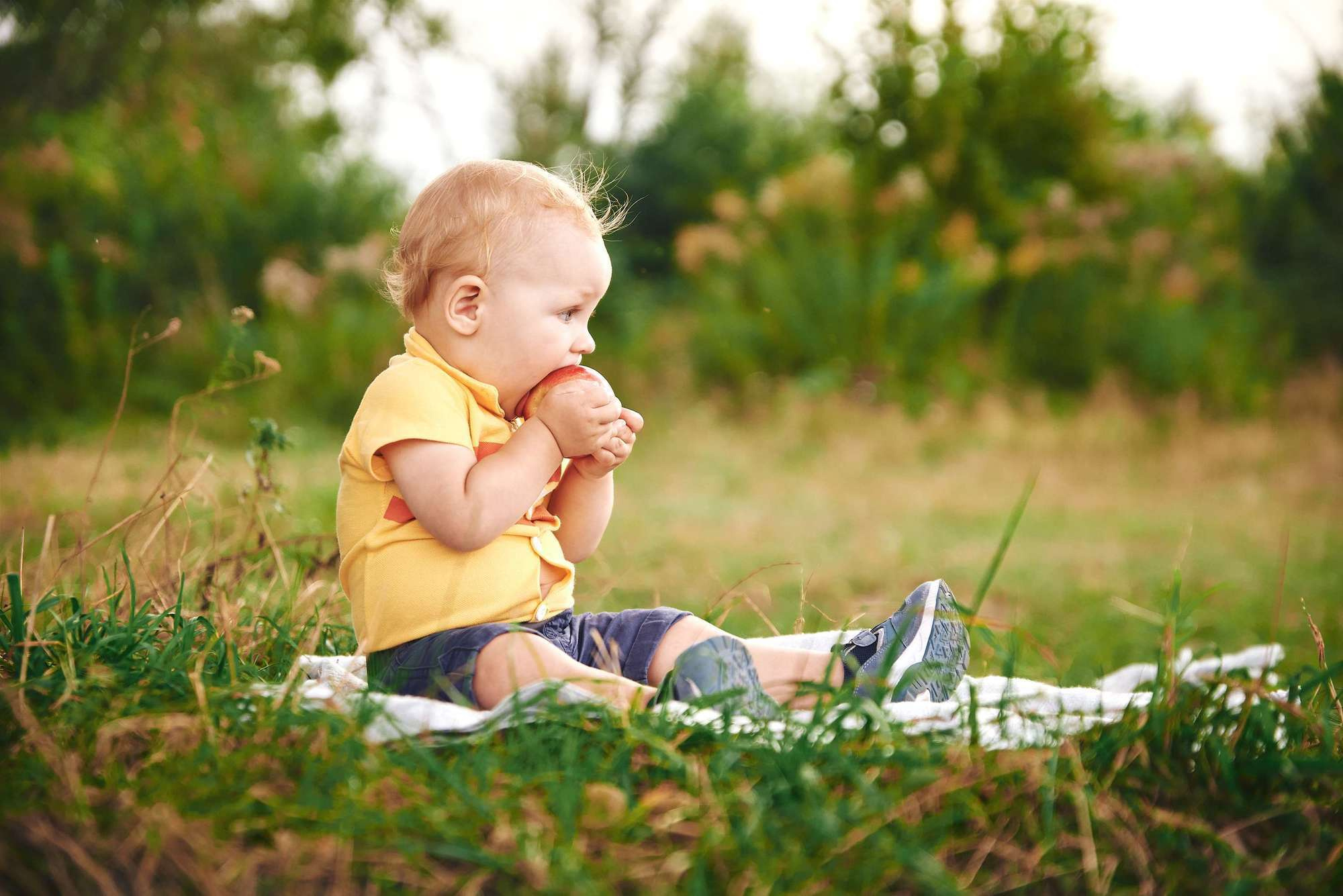 Надя+Рома (сімейна зйомка). Photographer Shepetivka, all over Ukraine, Dzekan Denys!