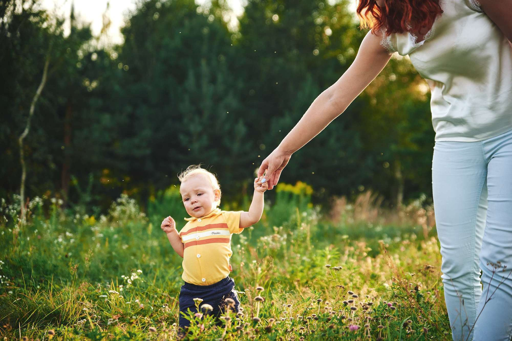 Надя+Рома (сімейна зйомка). Photographer Shepetivka, all over Ukraine, Dzekan Denys!