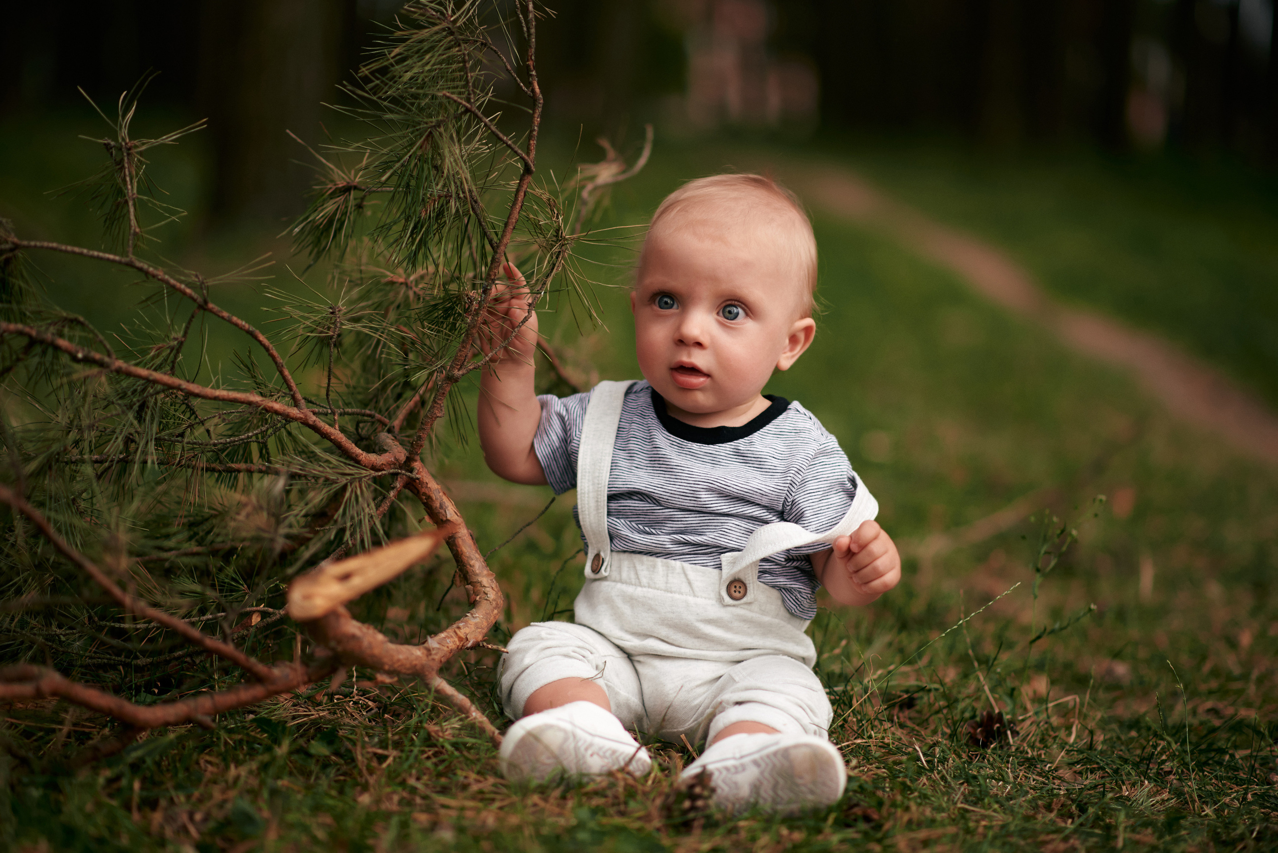 Сімейна прогулянка в сосновому лісі. Photographer Shepetivka, all over Ukraine, Dzekan Denys!