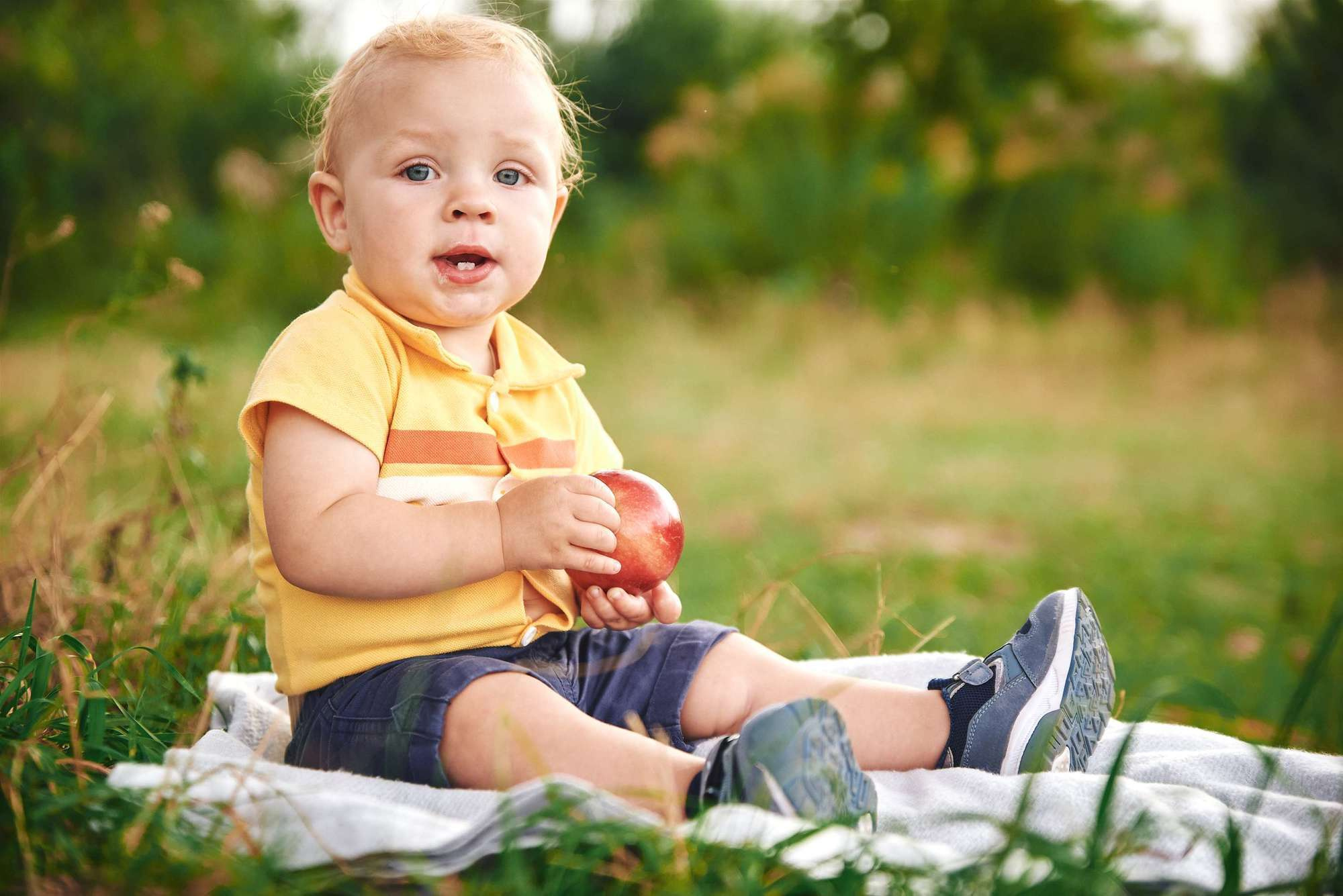Надя+Рома (сімейна зйомка). Photographer Shepetivka, all over Ukraine, Dzekan Denys!