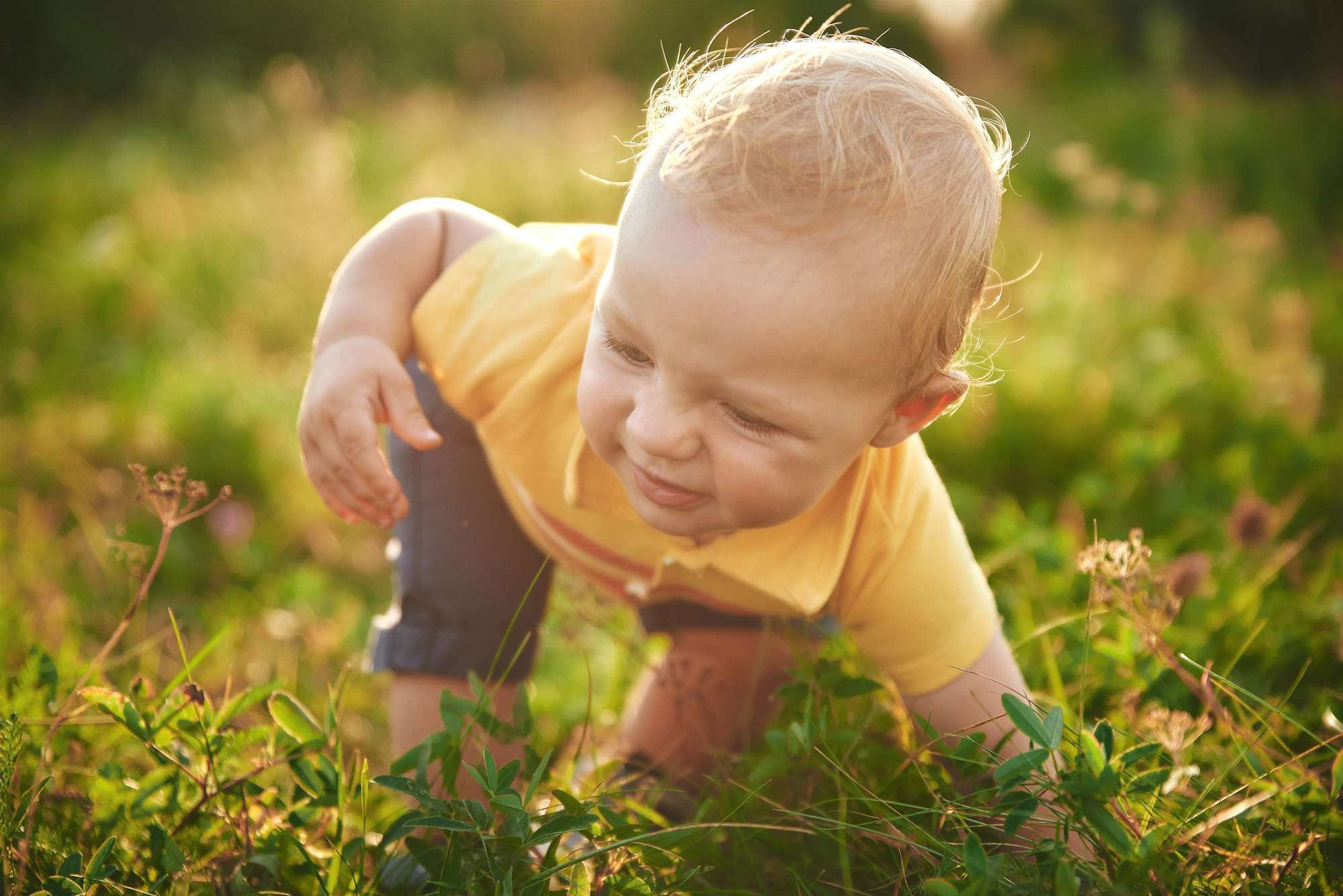 Надя+Рома (сімейна зйомка). Photographer Shepetivka, all over Ukraine, Dzekan Denys!