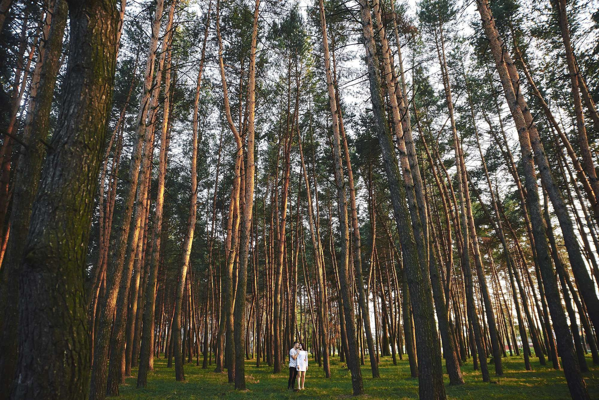 Сергій та Юля / Love story. Шепетівка. Photographer Shepetivka, all over Ukraine, Dzekan Denys!