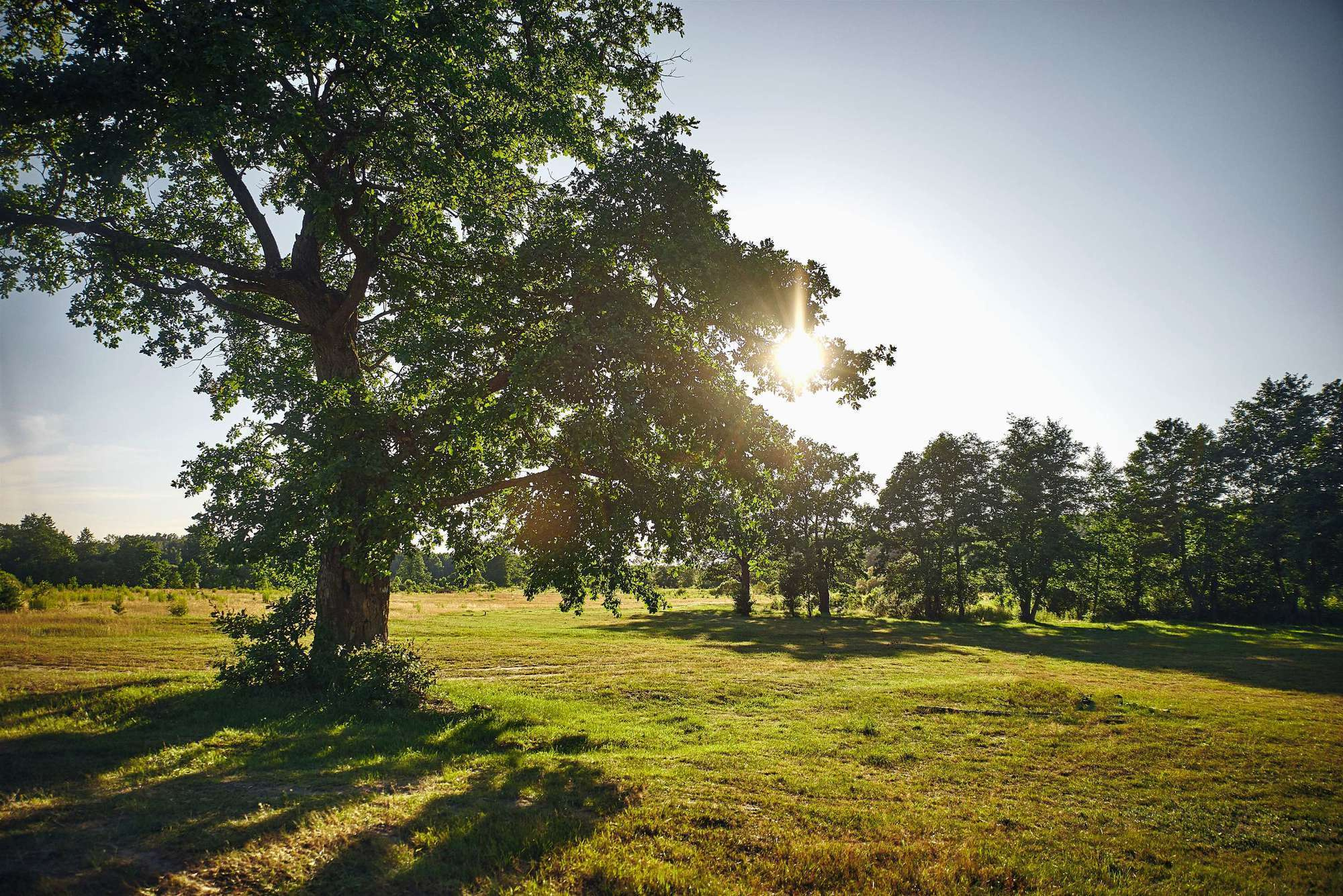 Євгеній+Оксана. Photographer Shepetivka, all over Ukraine, Dzekan Denys!