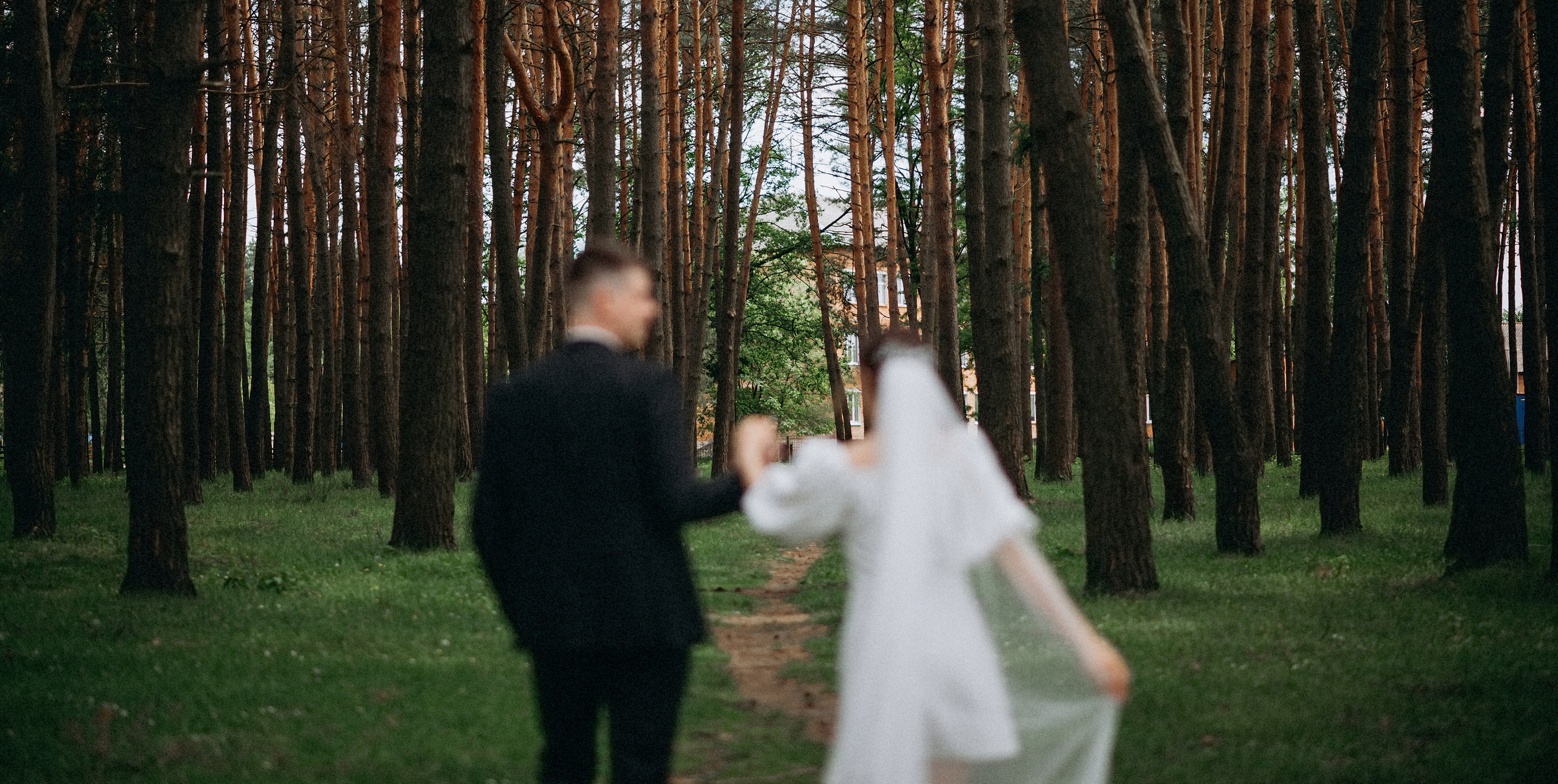 Весільна класика. Photographer Shepetivka, all over Ukraine, Dzekan Denys!